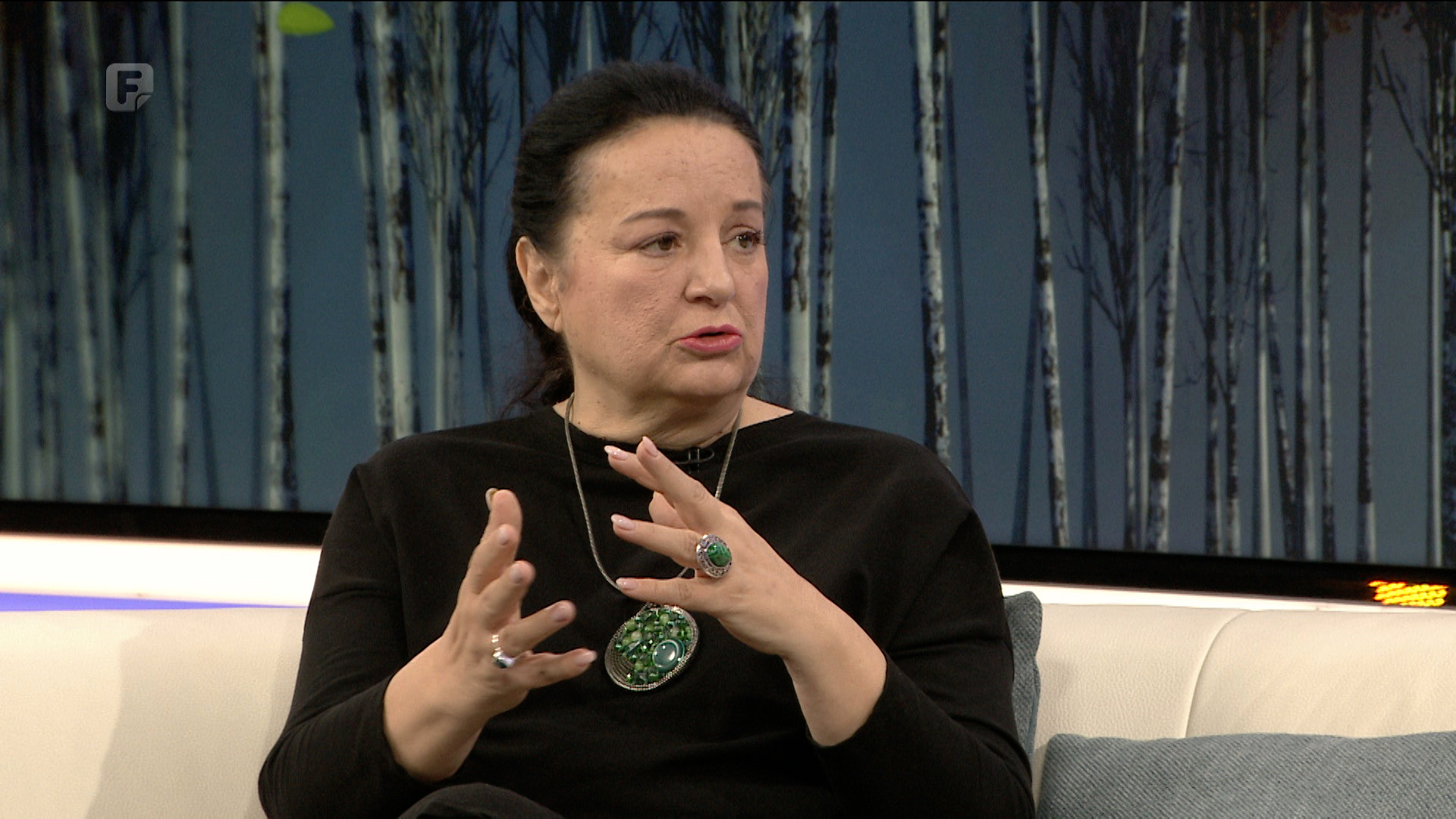 Svetlana Cenić: Neće niko pravnu državu, neće niko EU, ma koliko o njoj pričaju