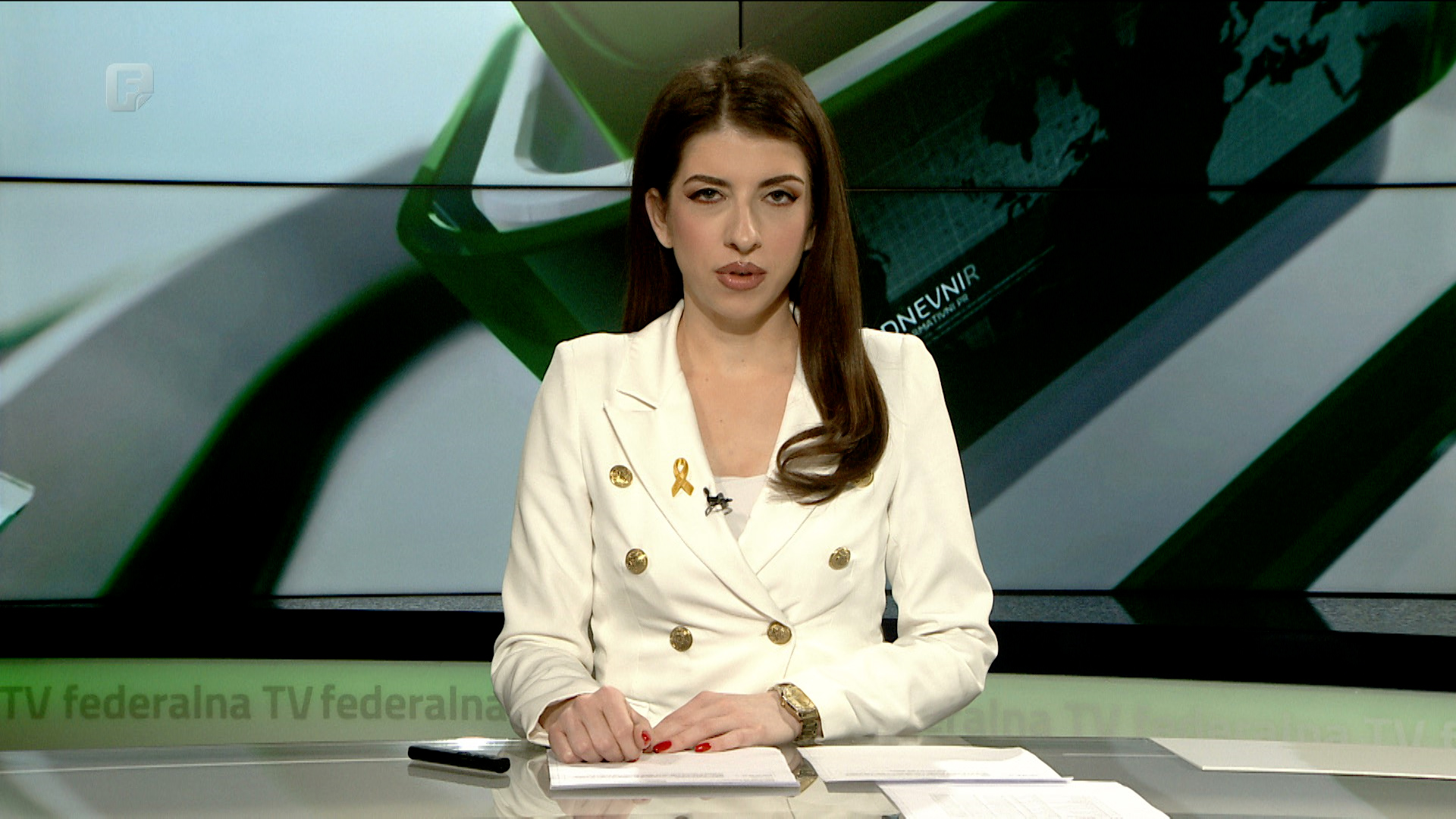 Dnevnik 1, 15.02.2024.