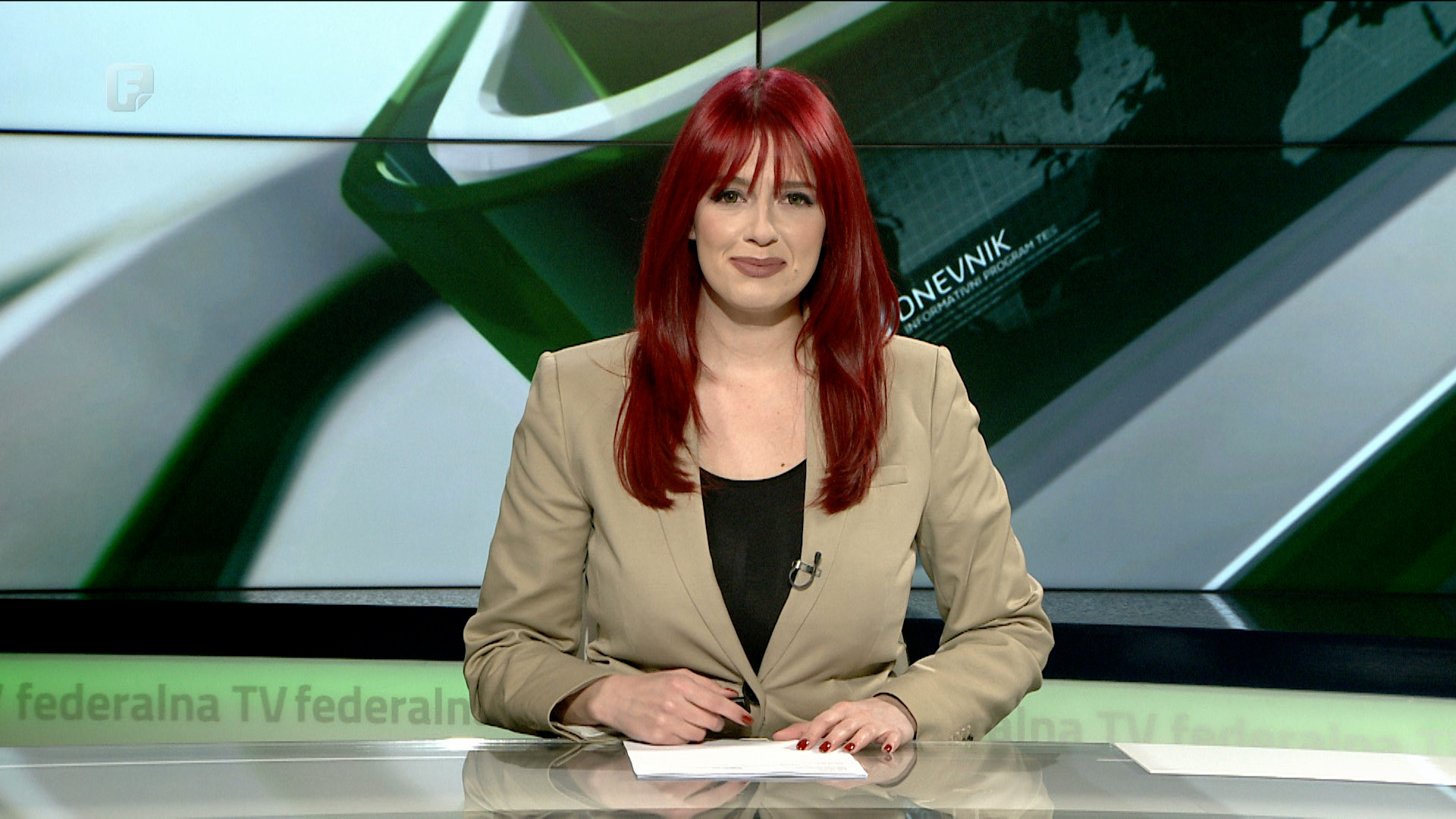 Dnevnik 1, 31.01.2024.