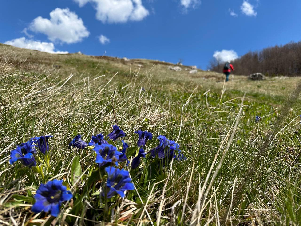 387 Adventures – promocija planinske  prirode i planinarenja