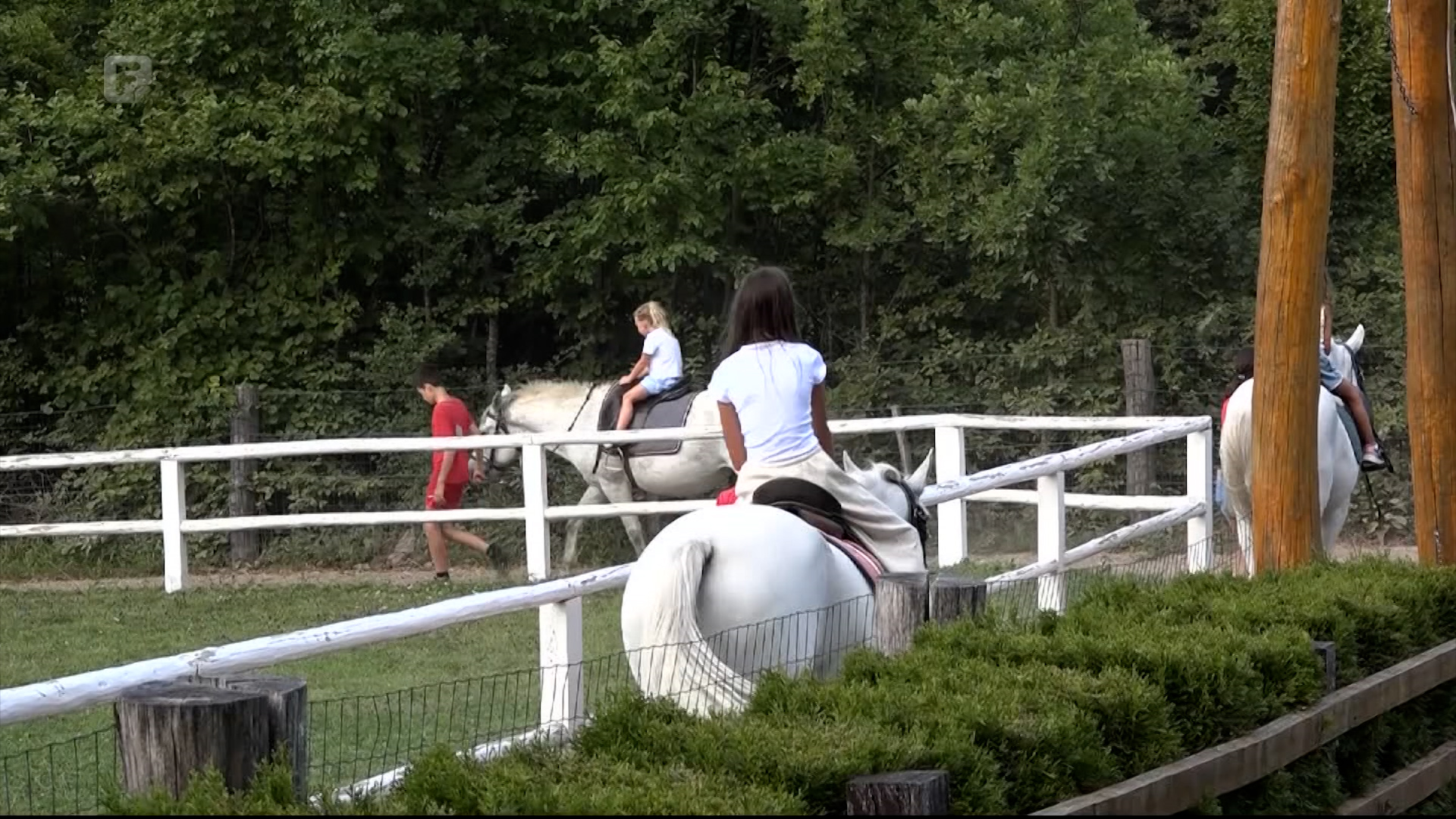 Konjički klub u naselju Ćanino polje u Jajcu: Spoj tradicije, ljubavi i turizma