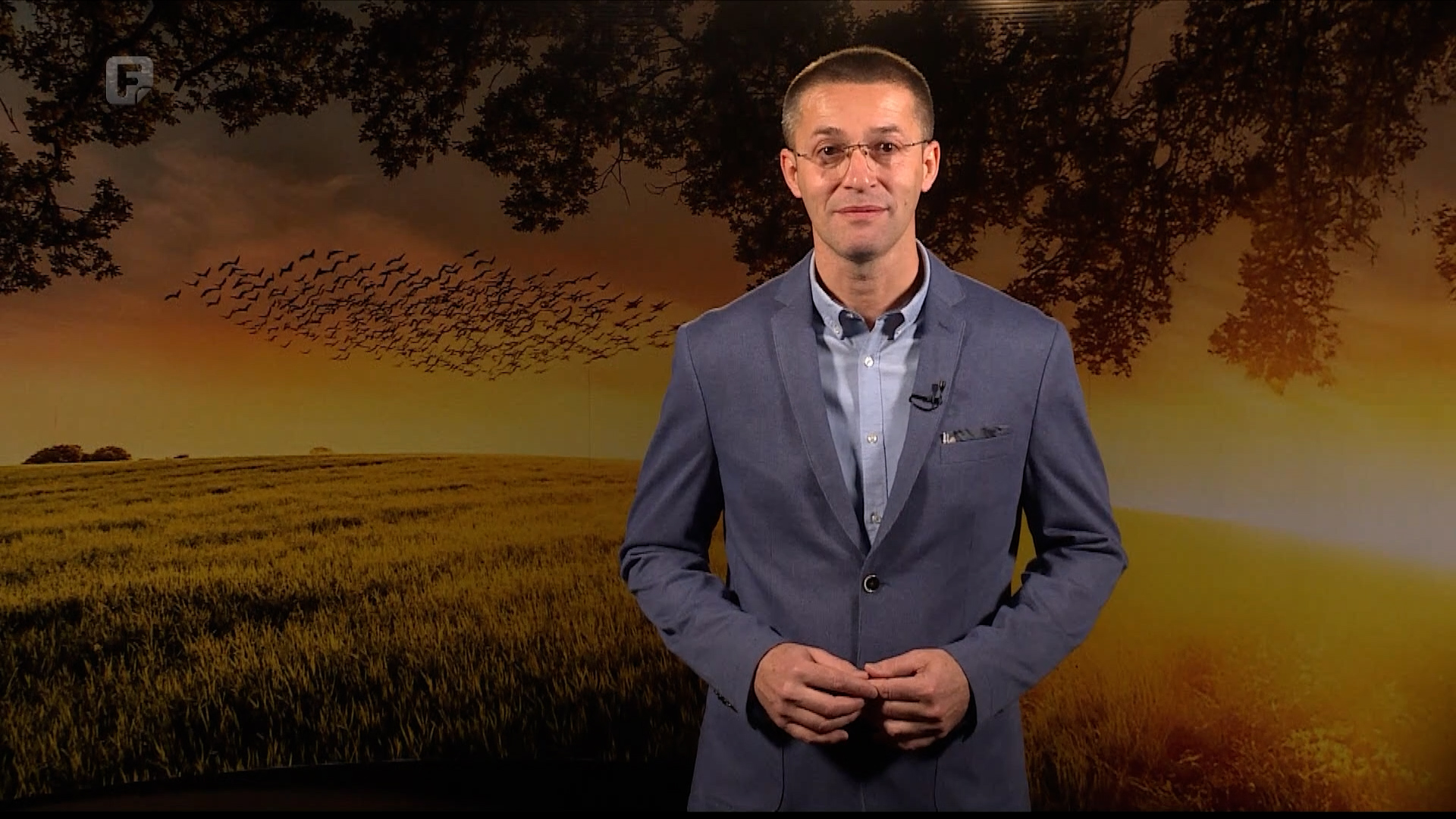 Zelena panorama, 07.12.2025.