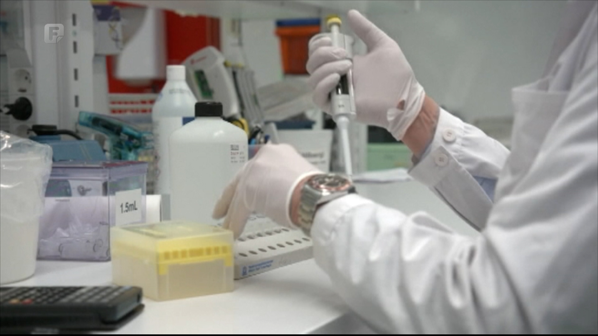 Medicinska upotreba kanabisa - radna grupa priprema zakon, pacijenti čekaju