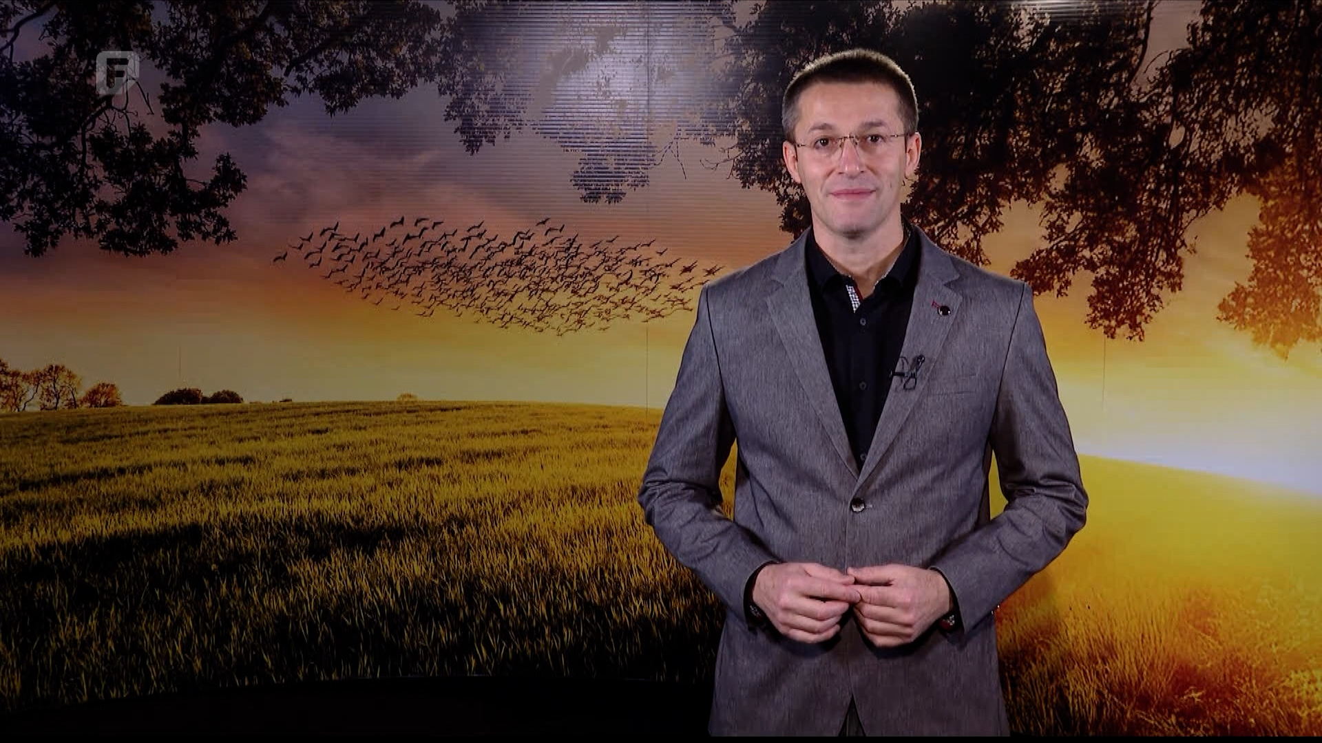 Zelena panorama, 21.12.2025.