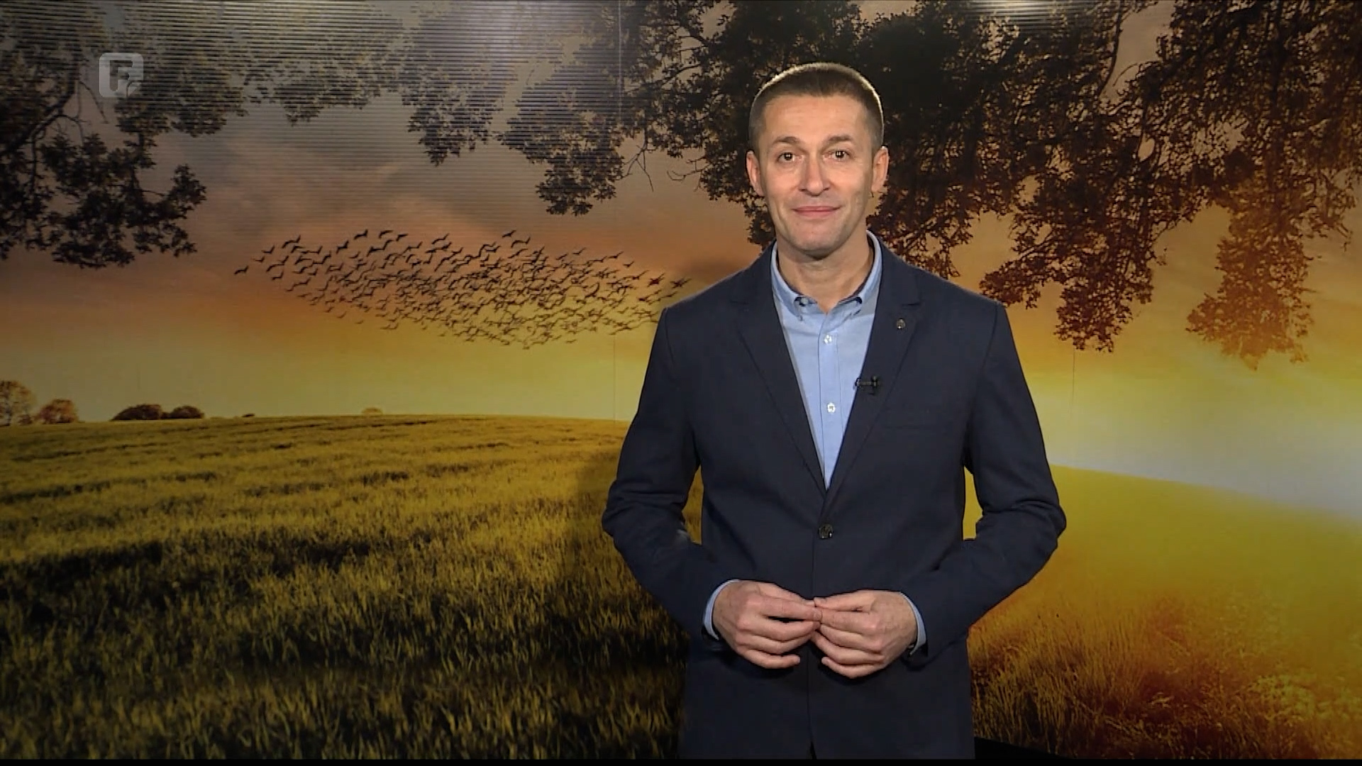 Zelena panorama, 28.12.2025.