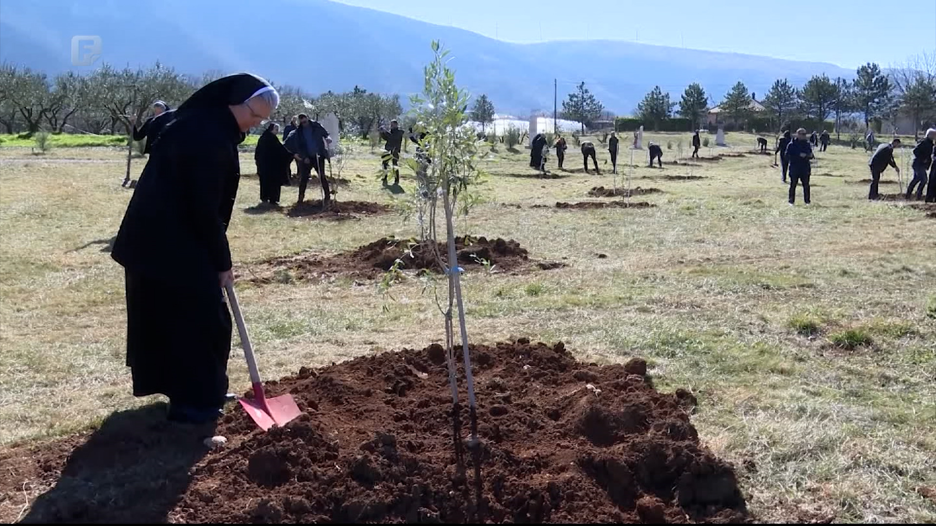 „Maslinik nade“ u samostanskom masliniku Školskih sestara franjevki u Potocima kraj Mostara