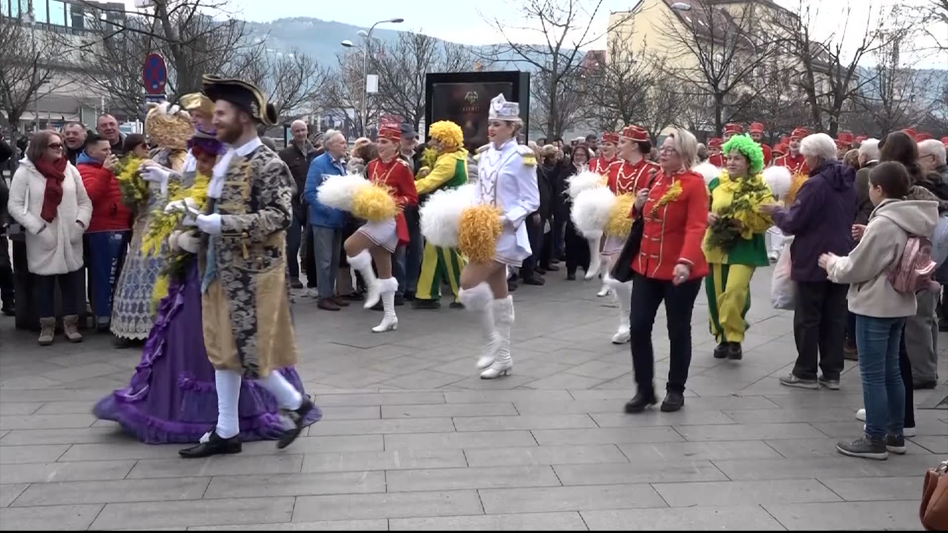 U Banjaluci predstavljen praznik mimoze