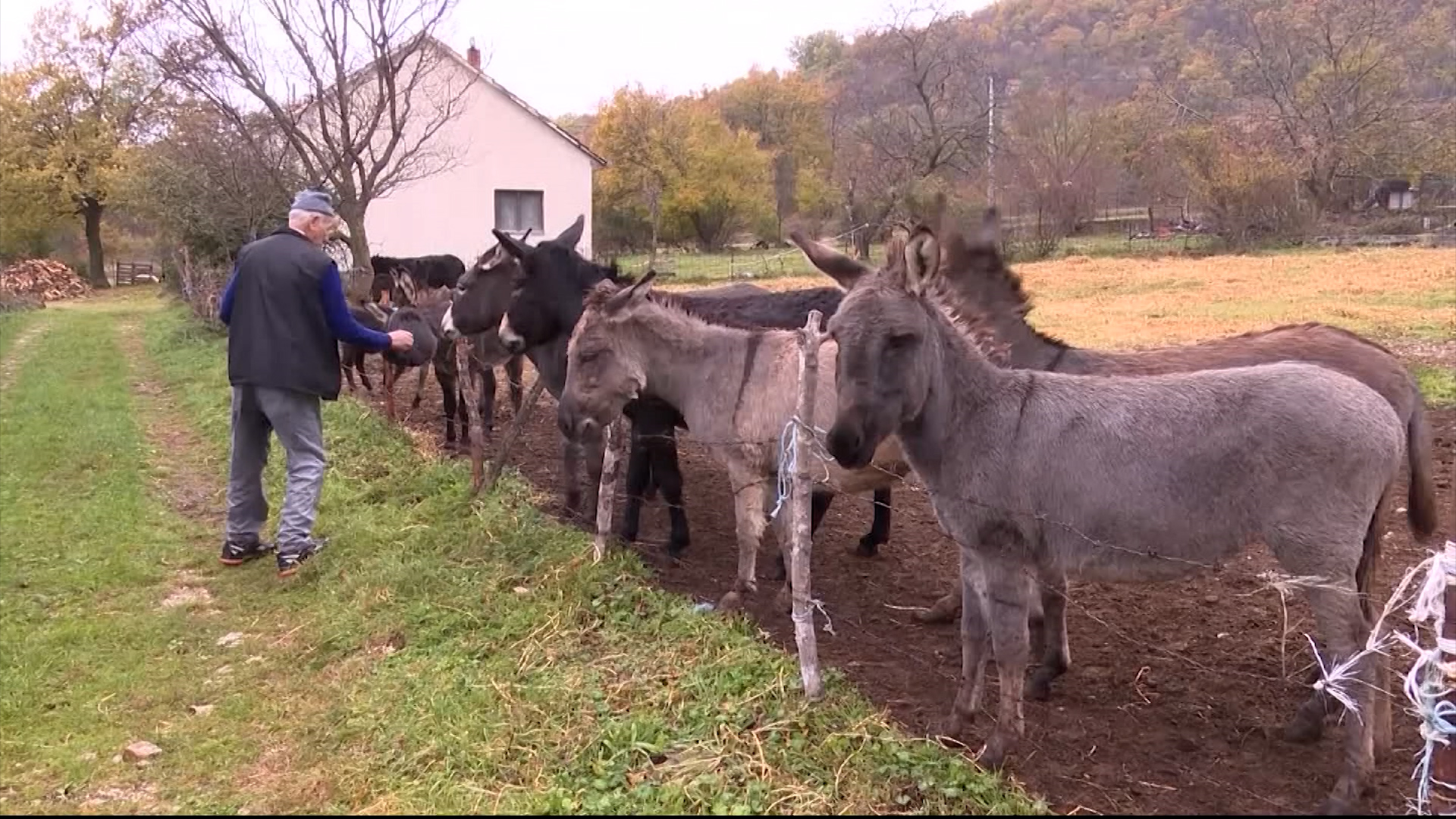 Farma magaraca Berkovićima: Lučići svoje životinje kvalitetno hrane