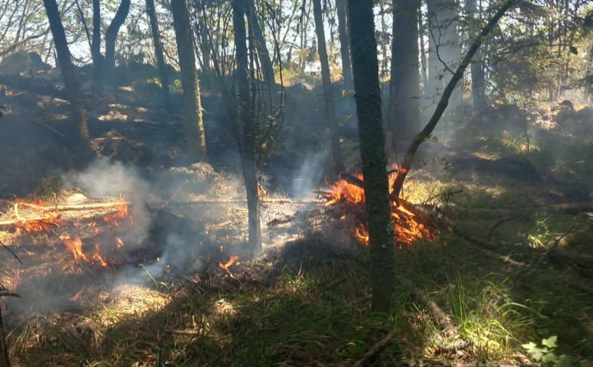 Požari su rezultat nedovoljne prevencije i nestručnog nadzora