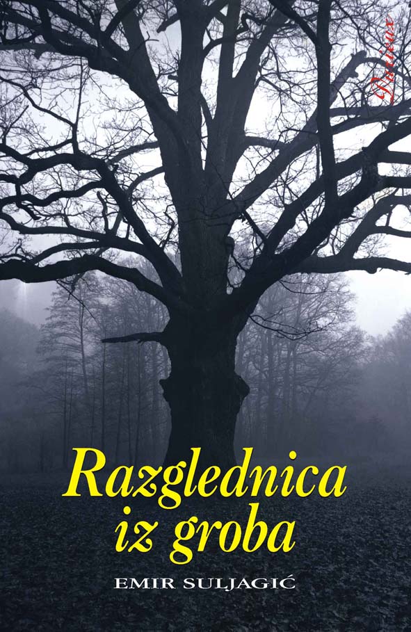 Emir Suljagić - RAZGLEDNICA IZ GROBA