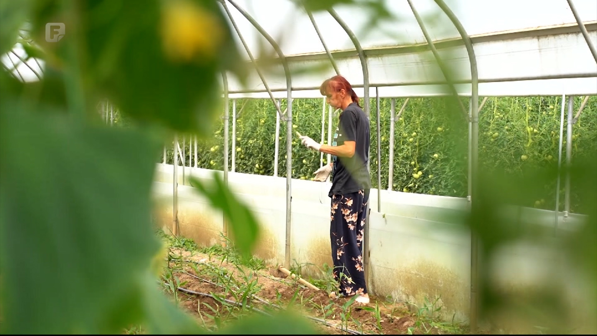 Izazovi i uspjesi AgroFooda: Deset godina rasta iz Konjević Polja