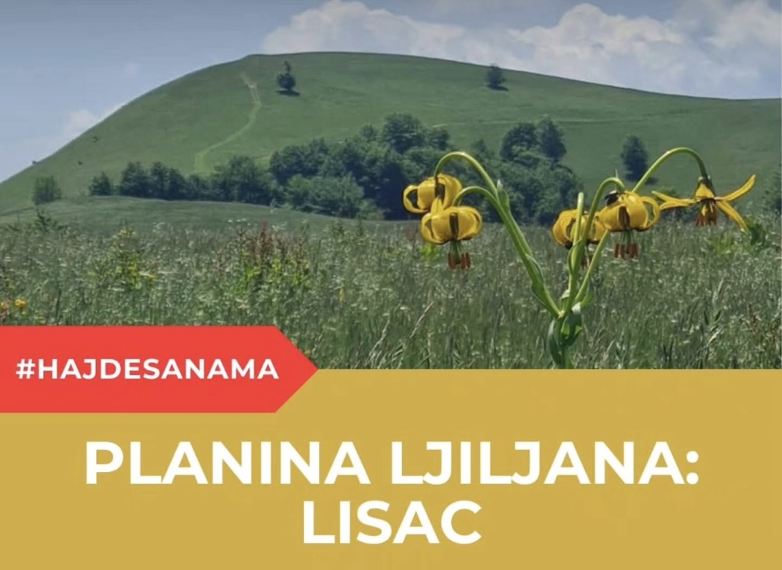 Planina Lisac dom endemskog bosanskog ljiljana