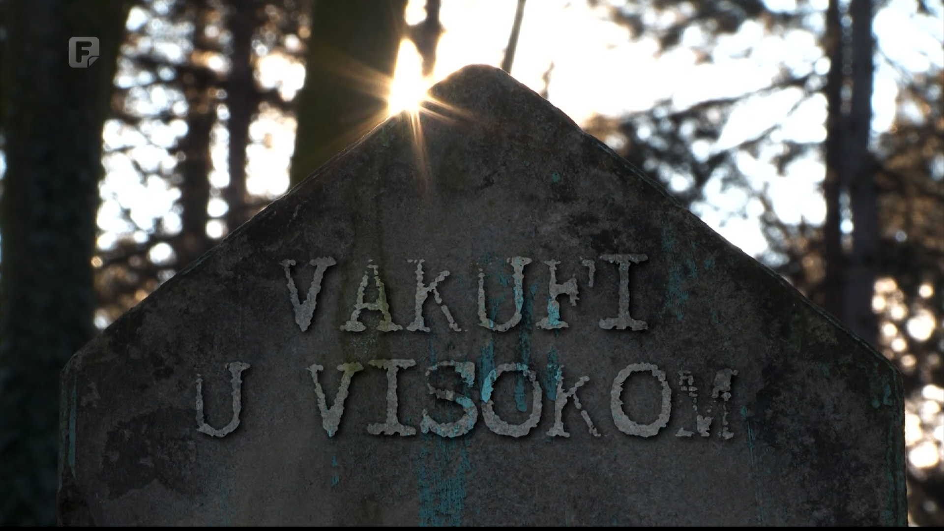 Vakufi u Visokom, dokumentarni program