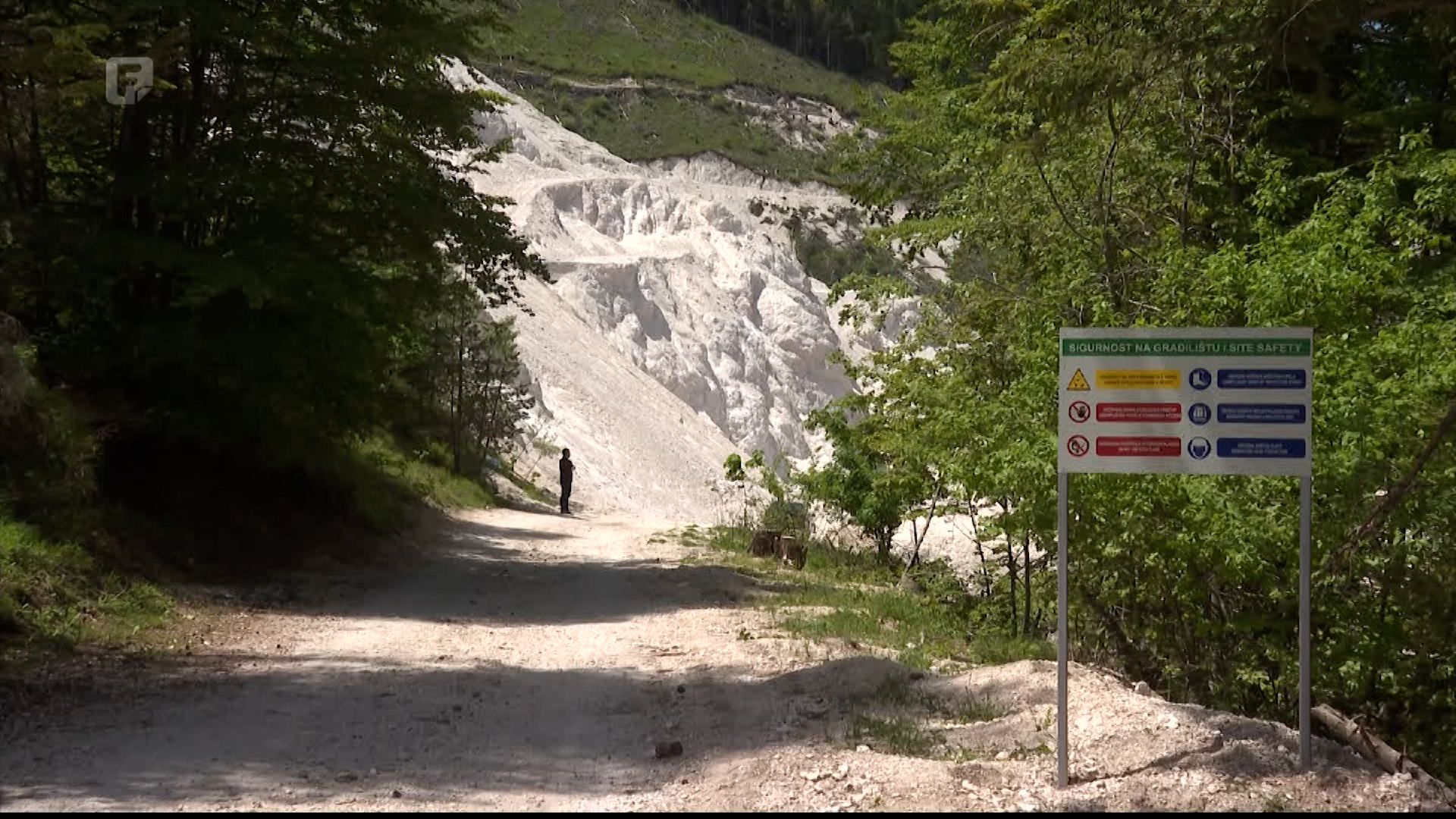 Prašina bogatog sjaja