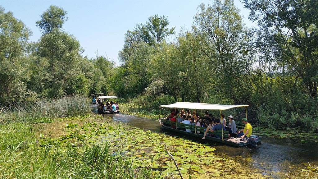 Park prirode Hutovo blato – fotosafari jedinstvena turistička atrakcija