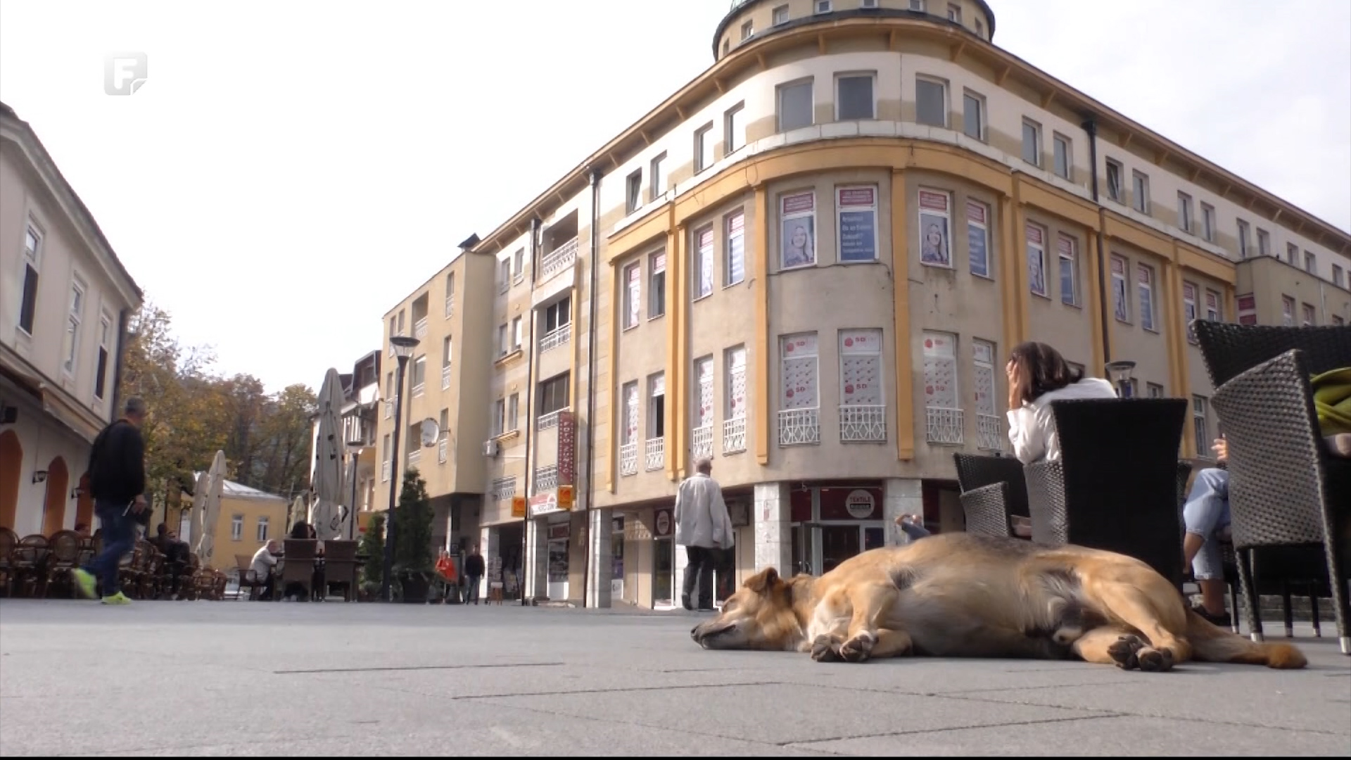 Bjesnila u TK-u nema, vakcina ima dovoljno