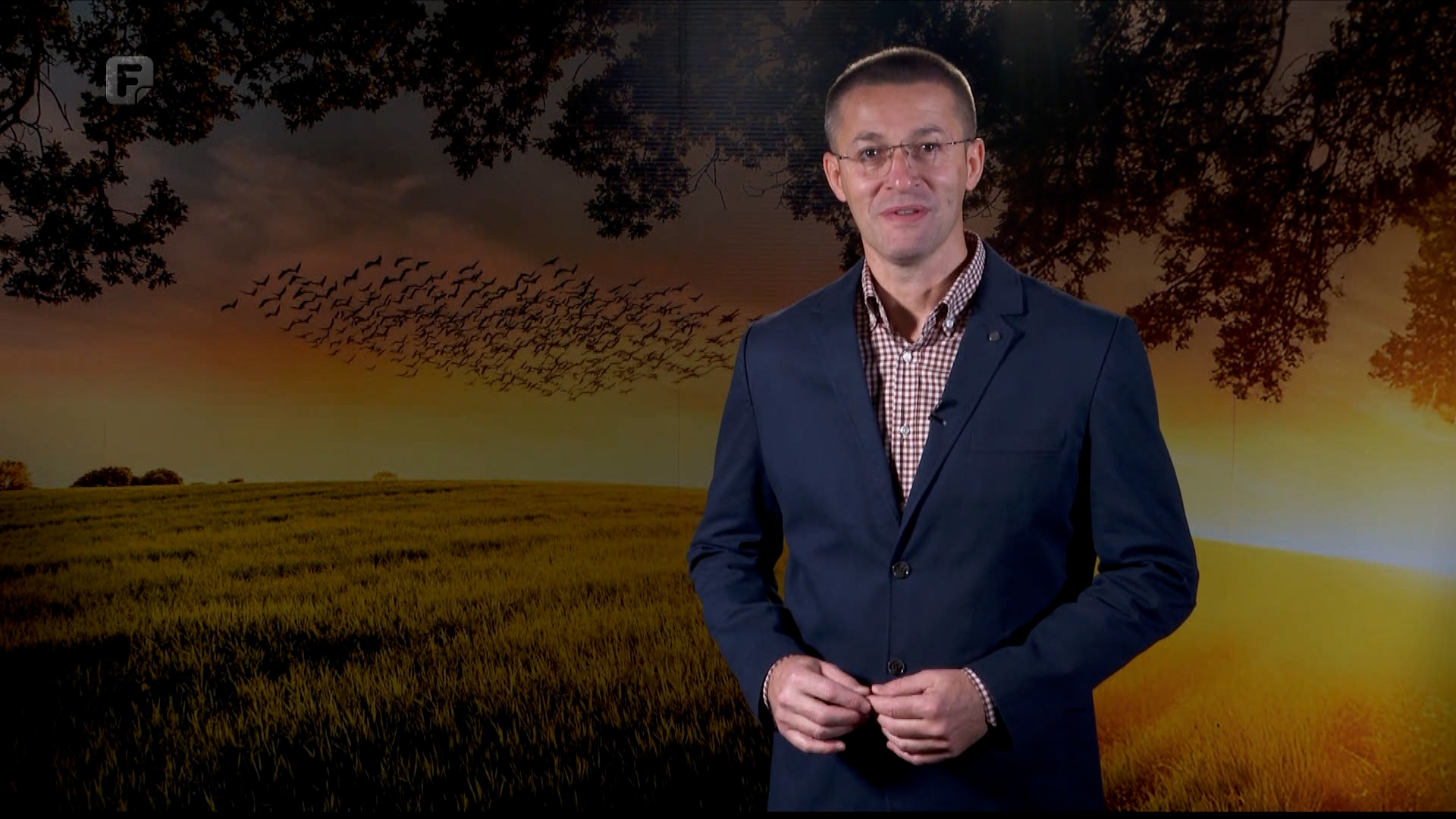 Zelena panorama, 02.11.2025.