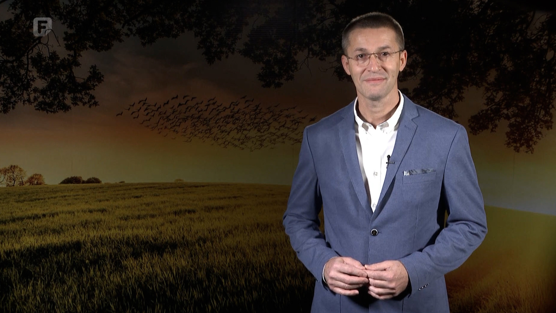 Zelena panorama, 09.11.2025.