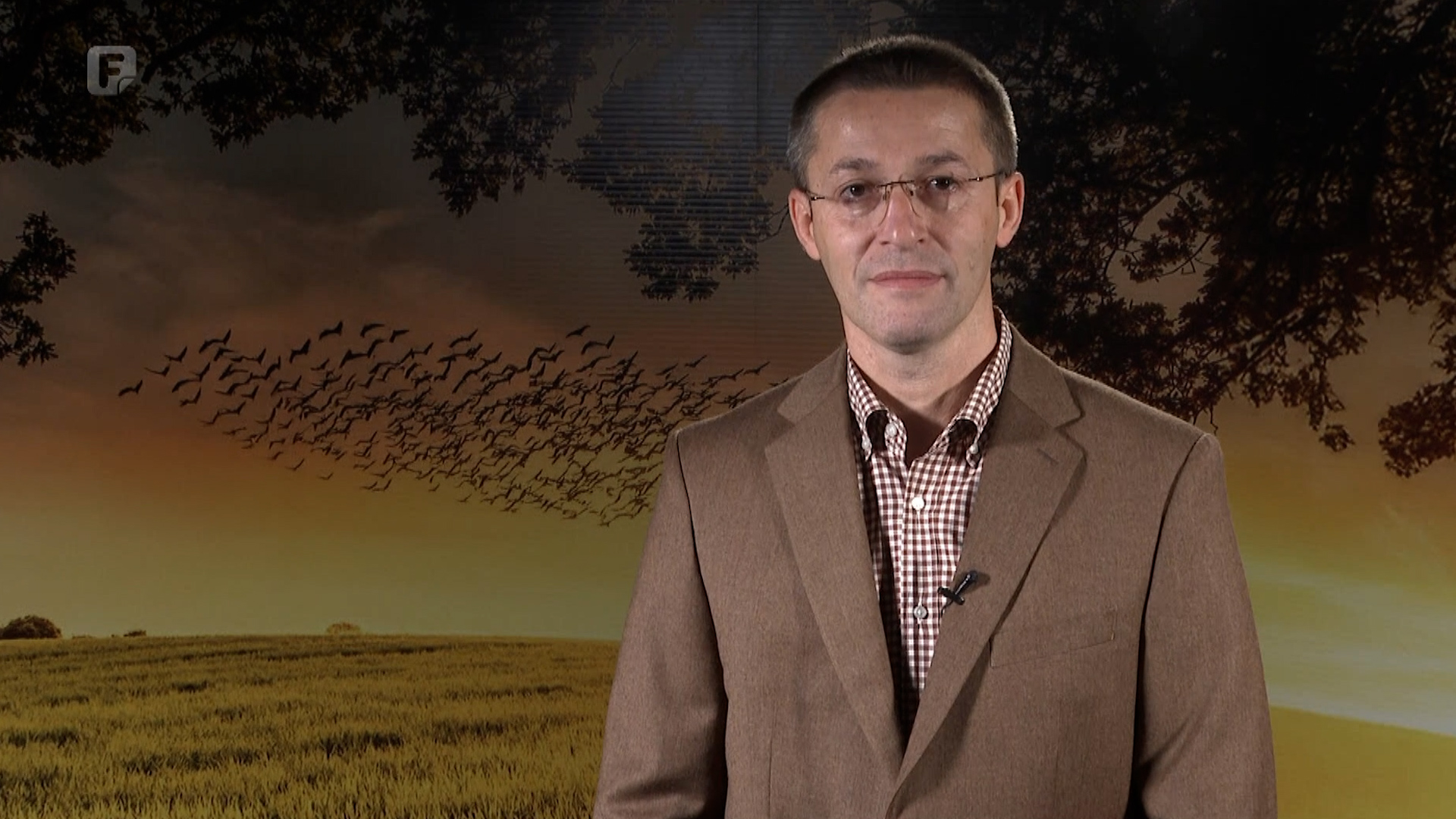 Zelena panorama, 16.11.2025.