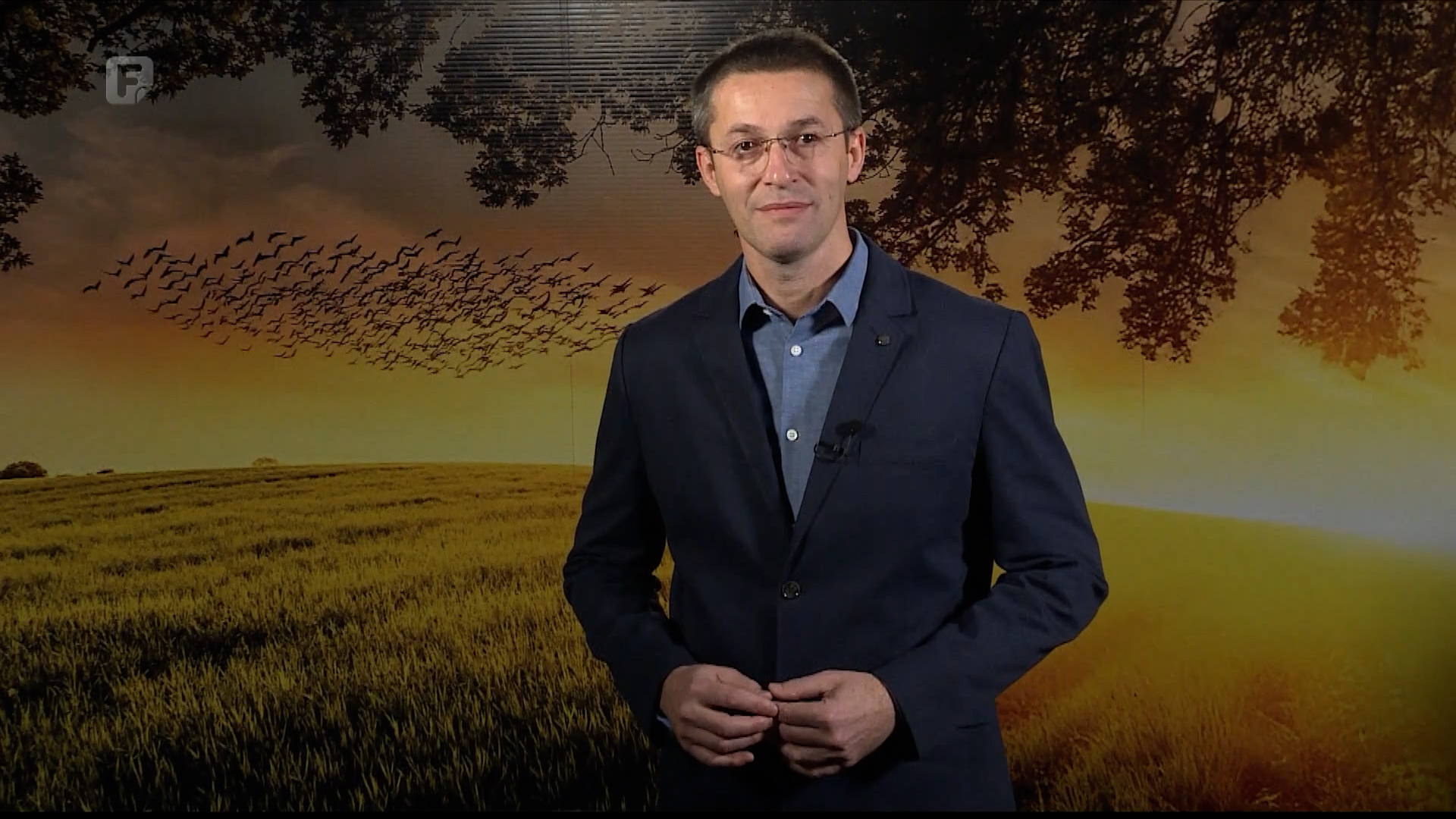 Zelena panorama, 30.11.2025.