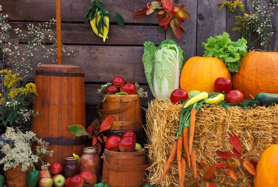 Natura FR “Jesenje priče”