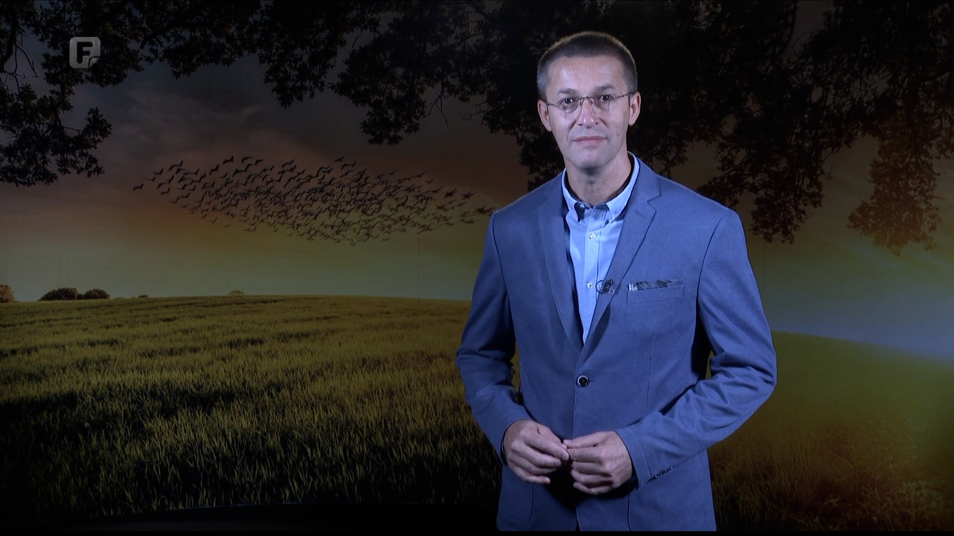 Zelena panorama, 12.10.2025.