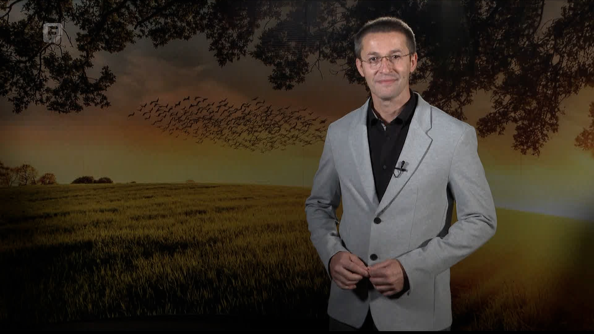 Zelena panorama, 26.10.2025.