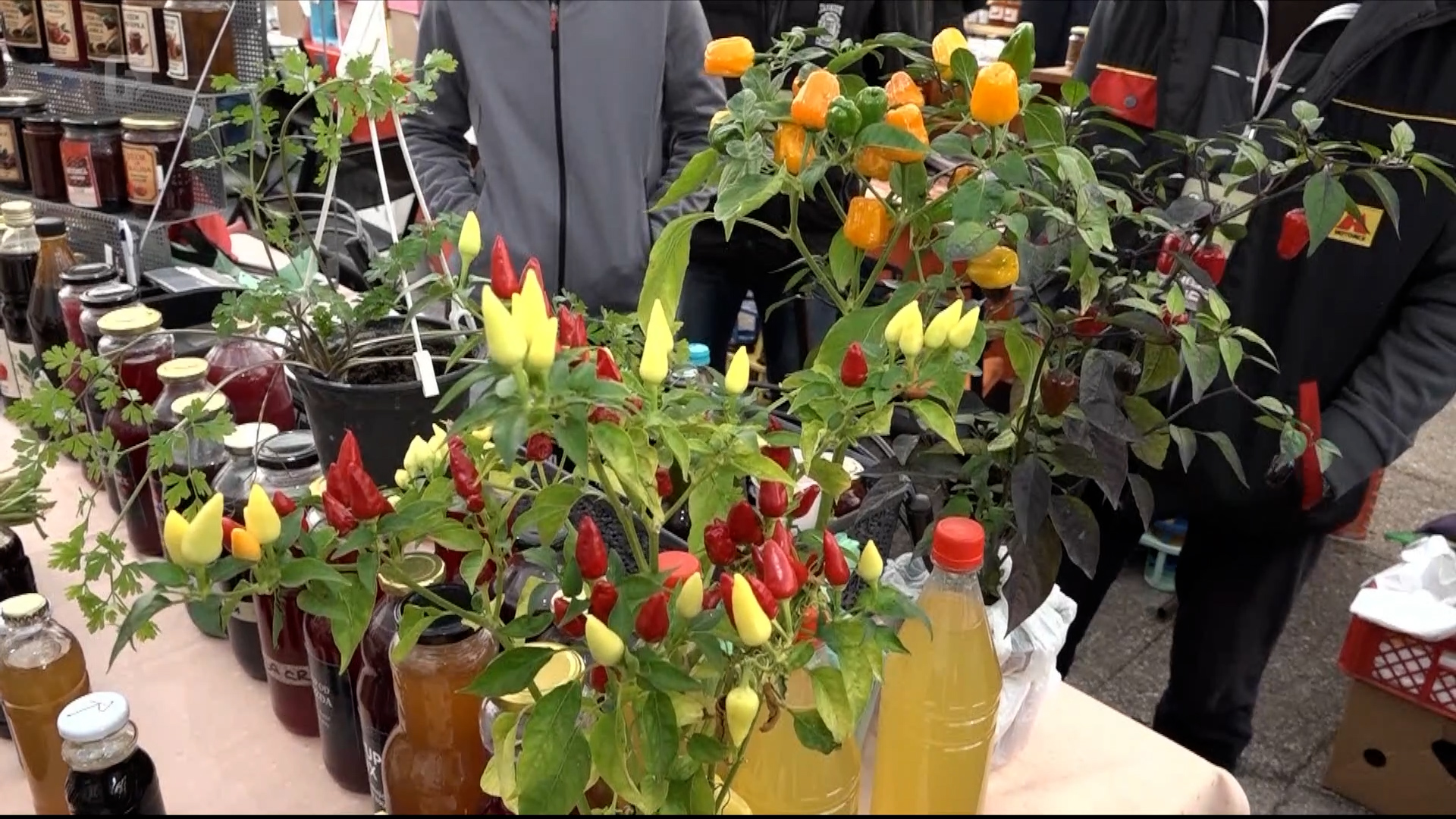 Sigurnost hrane u ZDK-u: Inspektor za hranu preuzima kontrolu od narednog mjeseca