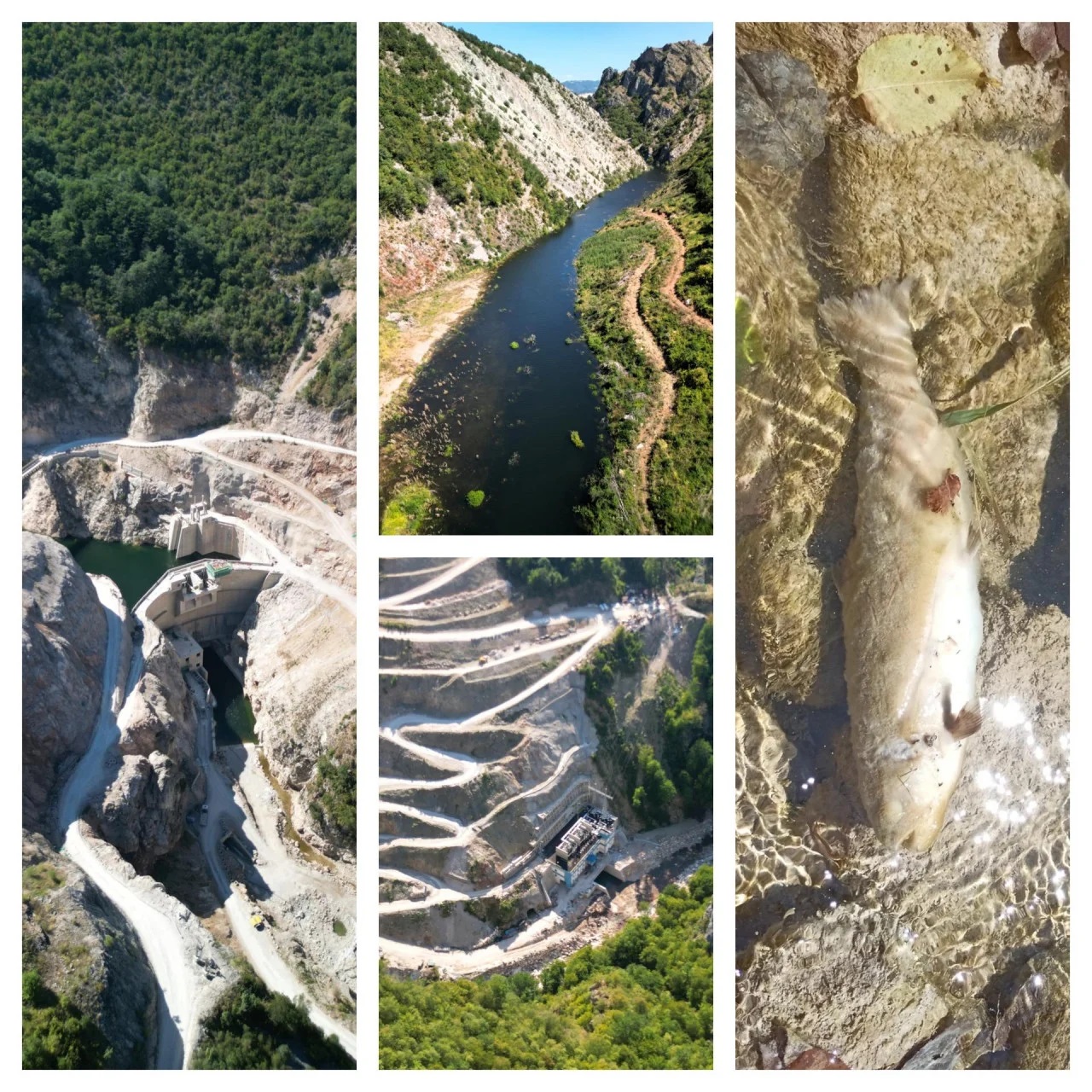 Ekološki incident: Pomor ribe kod HE Ulog na Neretvi