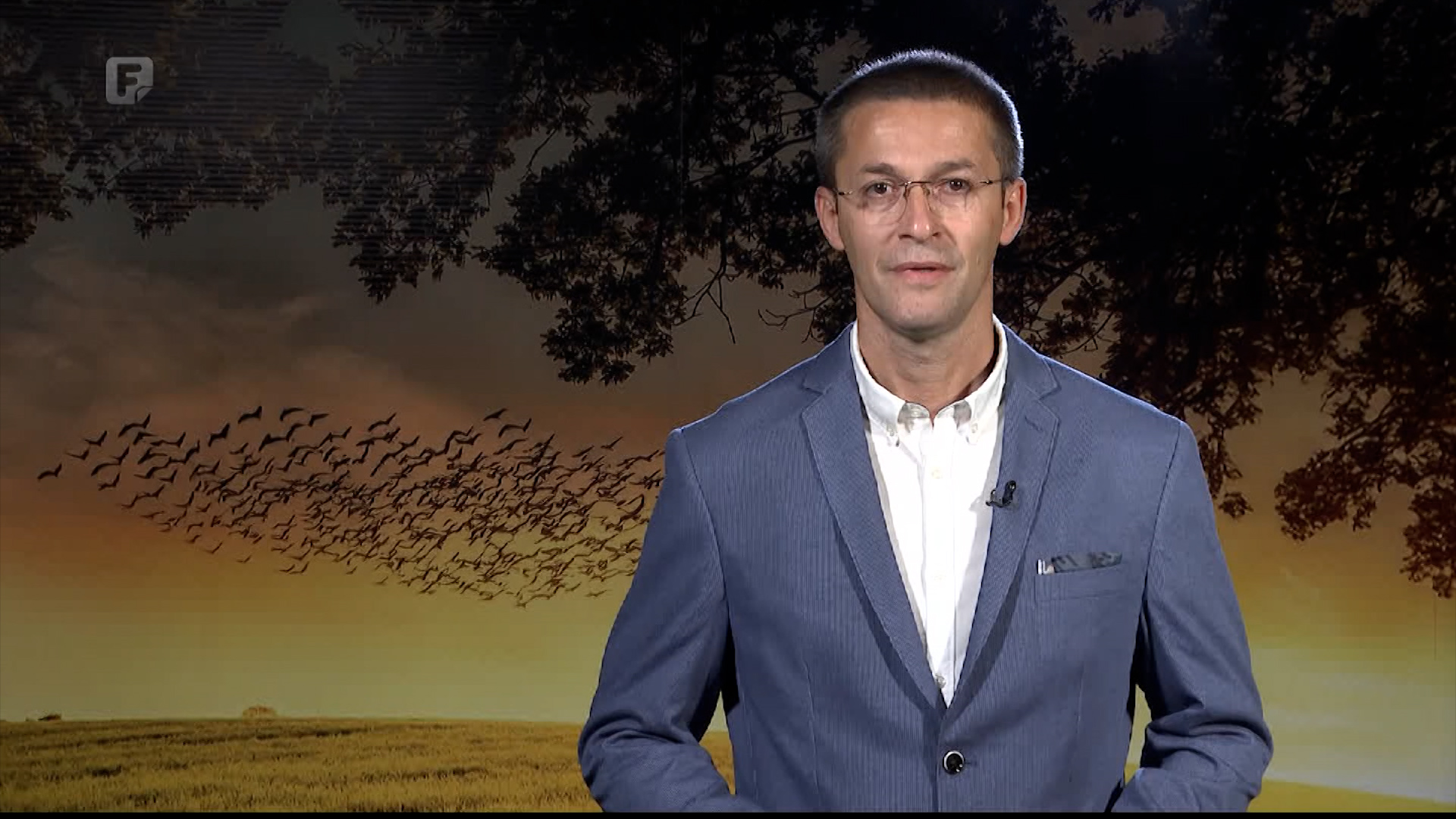 Zelena panorama, 14.09.2025.