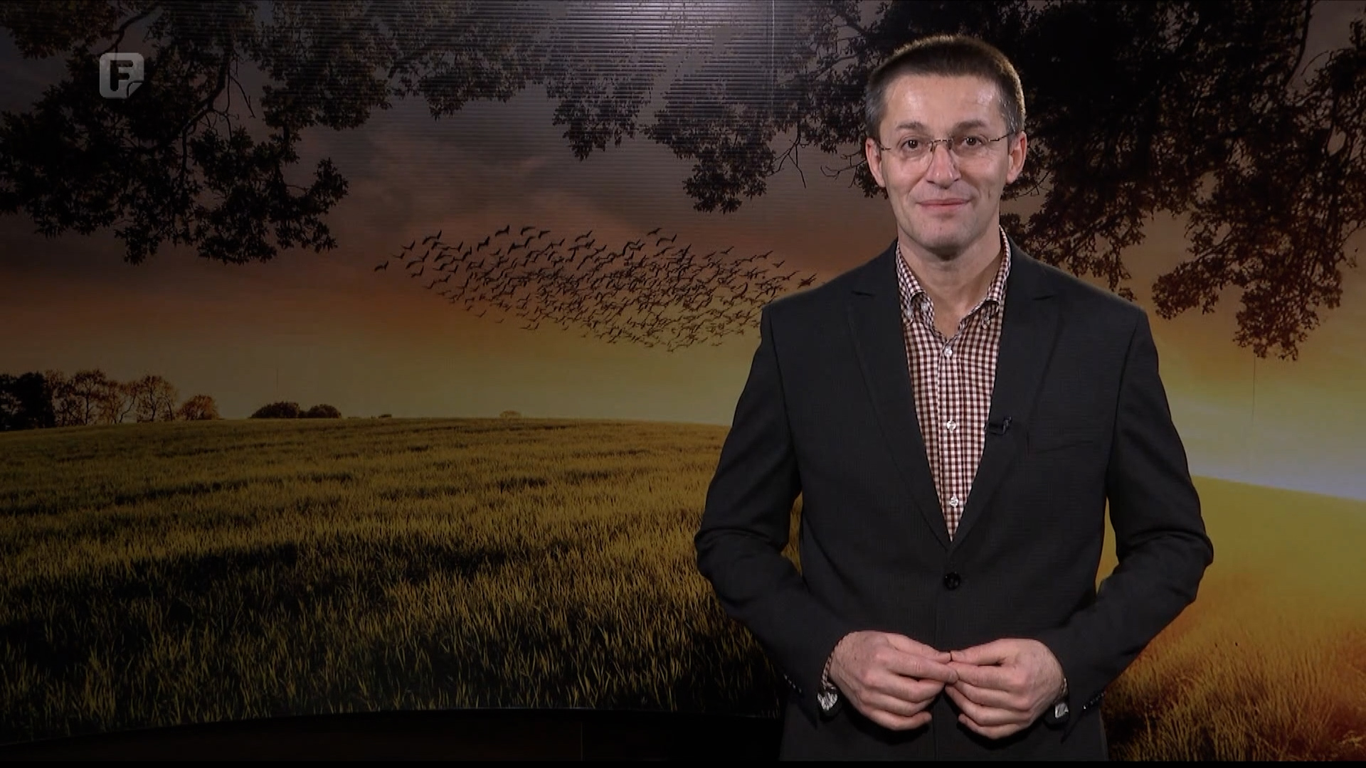 Zelena panorama, 15.02.2026.