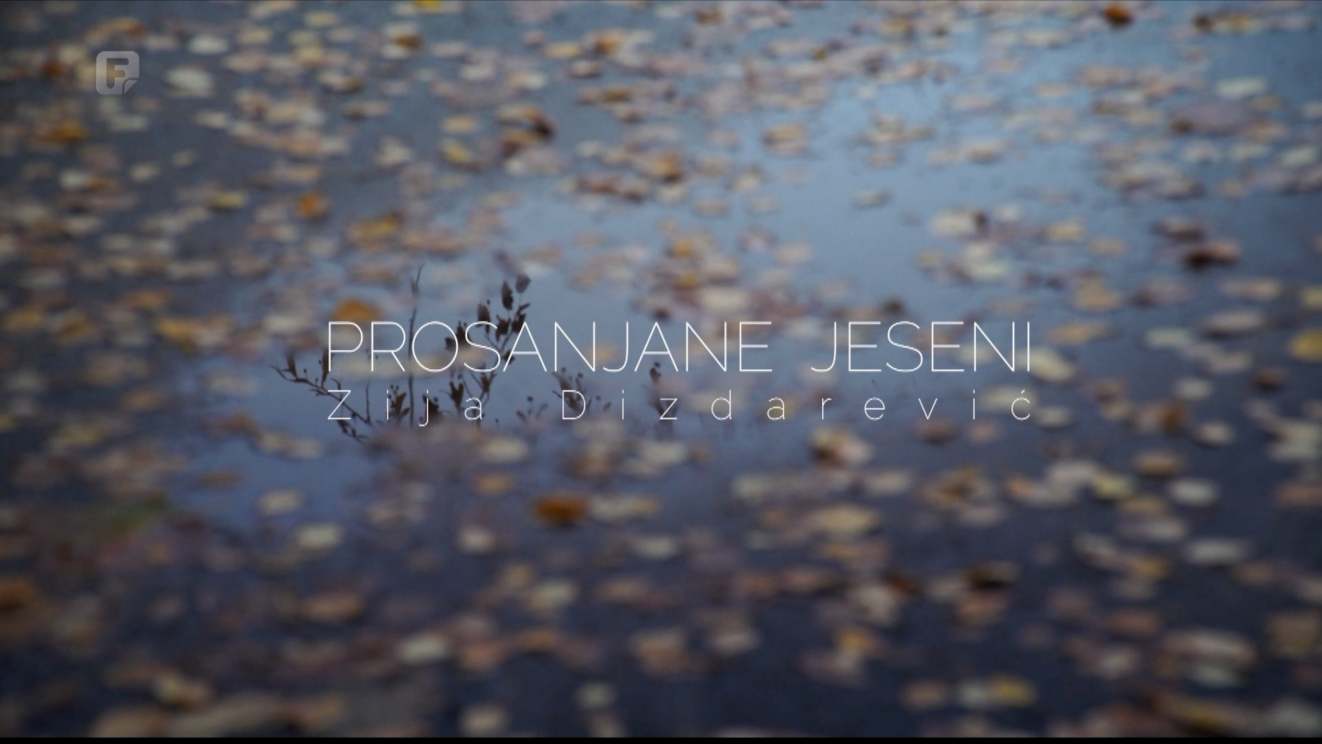 Prosanjane jeseni Zija Dizdarević