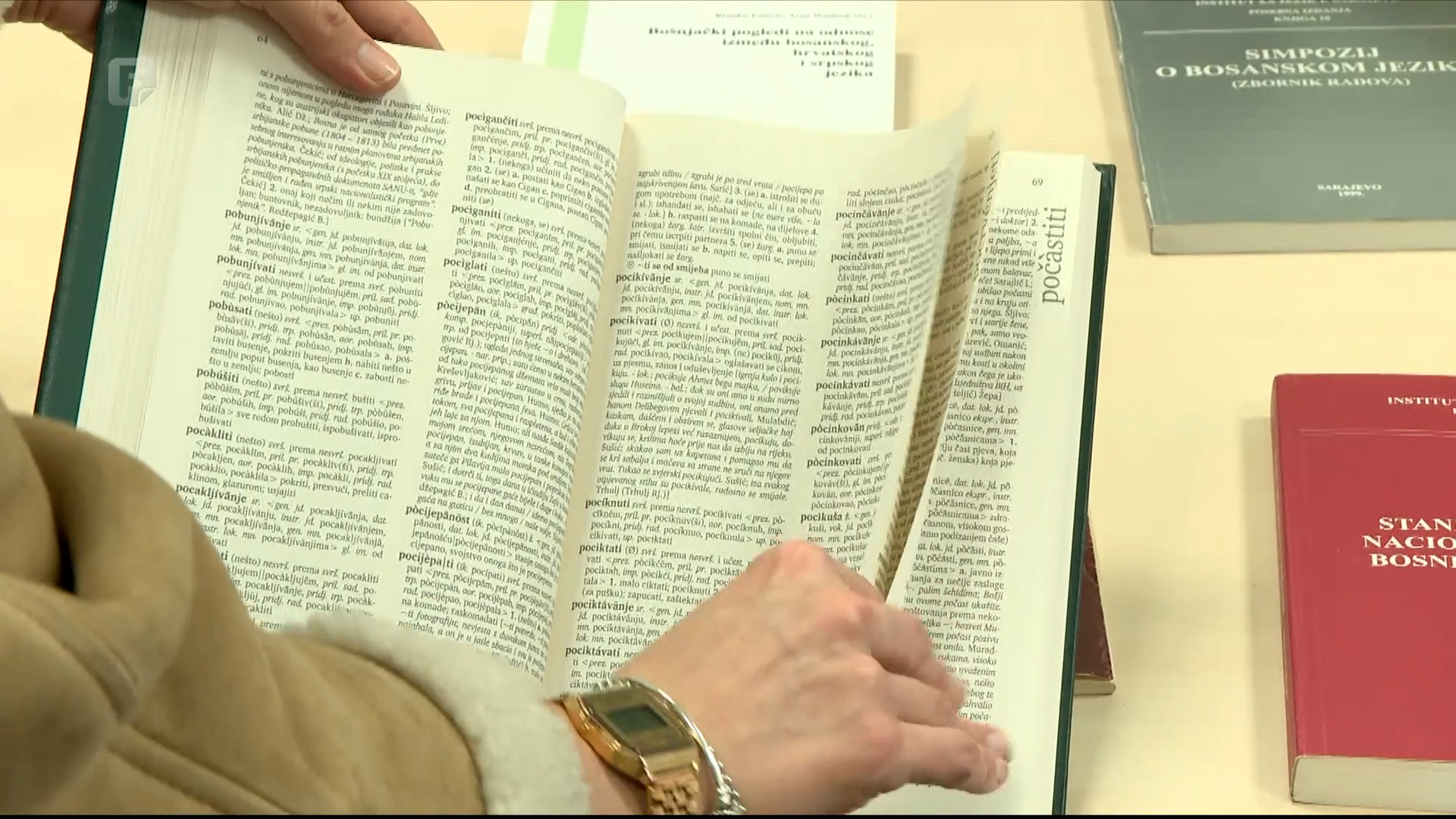 Međunarodni je dan maternjeg jezika: Prilika za analizu funkcionalne pismenosti