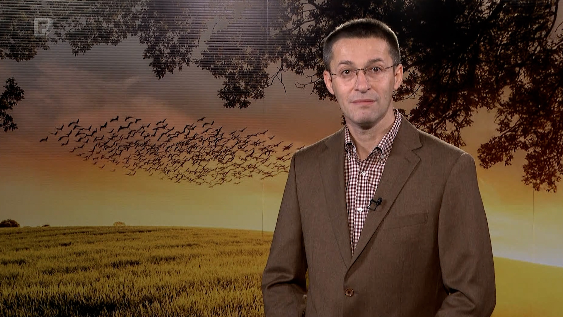 Zelena panorama, 11.01.2026.