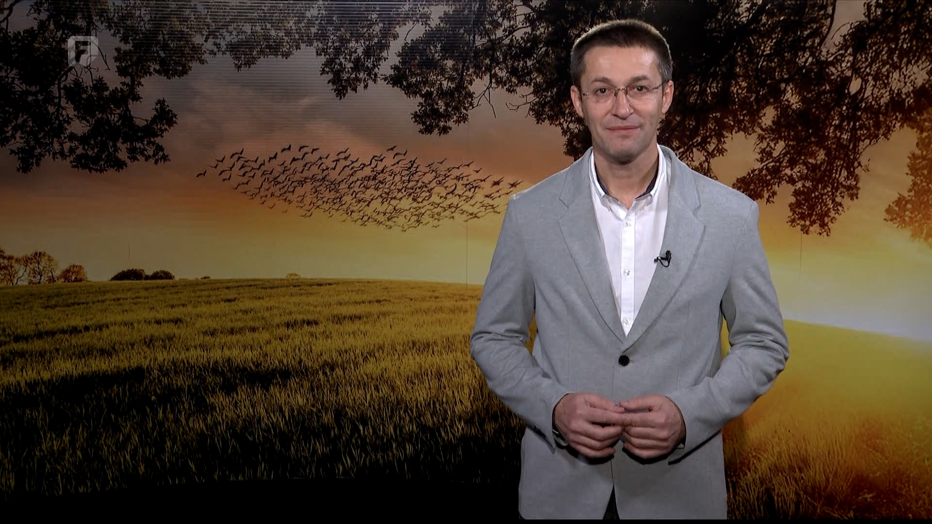 Zelena panorama, 18.01.2026.