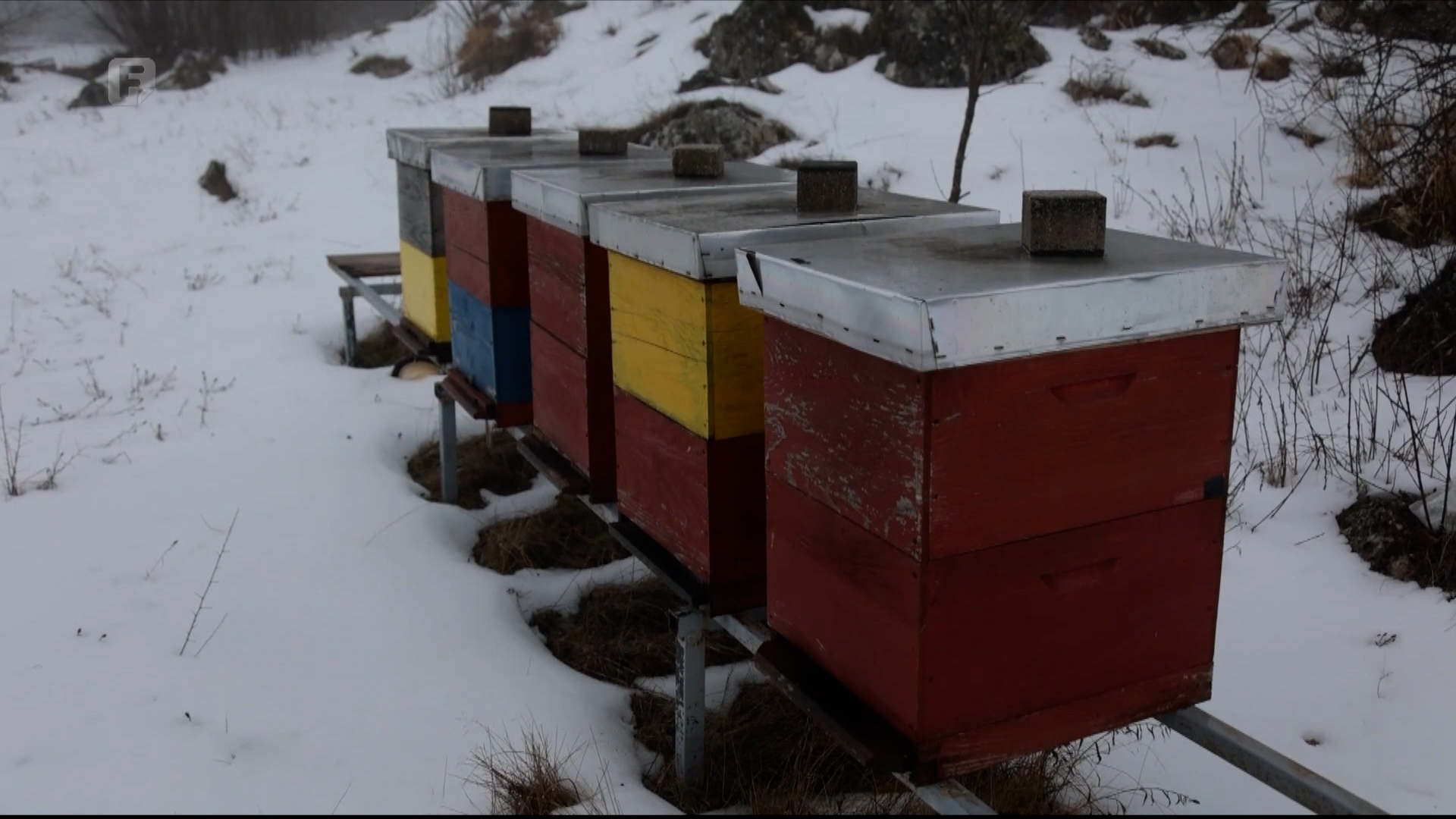 Drvarski pčelari dobili stroj za izradu satnih osnova