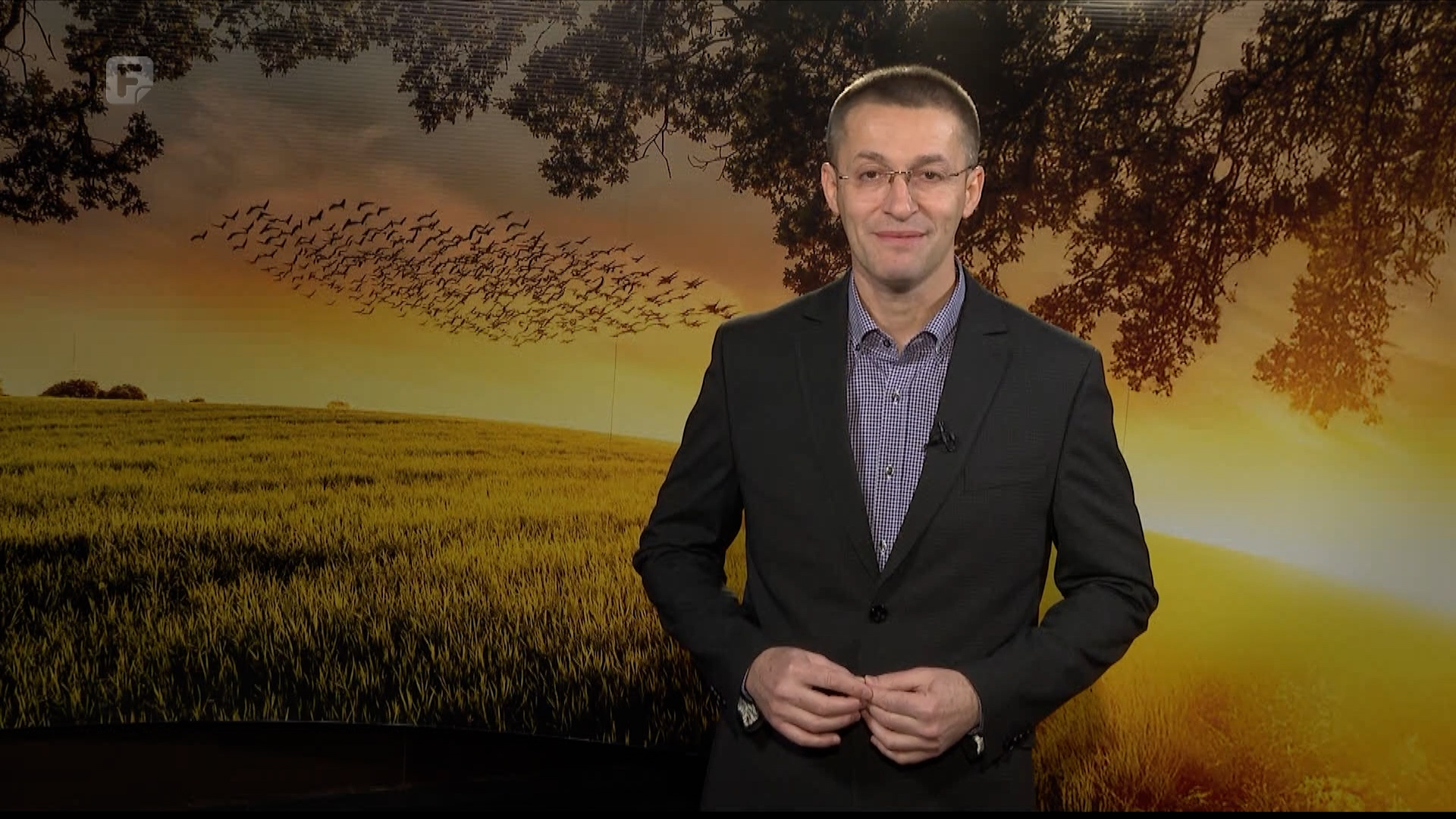 Zelena panorama, 25.01.2026.