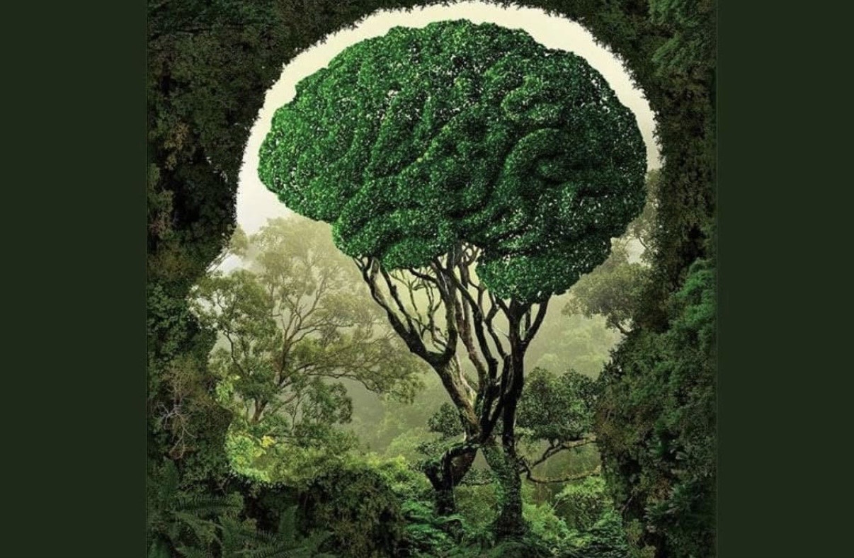 Natura FR „ Misli o prirodi „