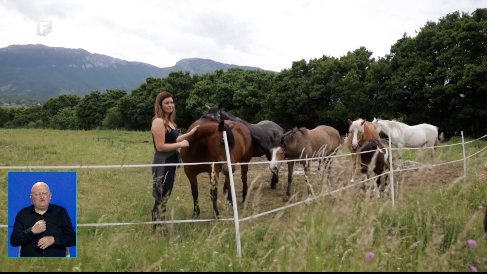 Grad Livno potporama jača poduzetništvo i ruralni razvoj