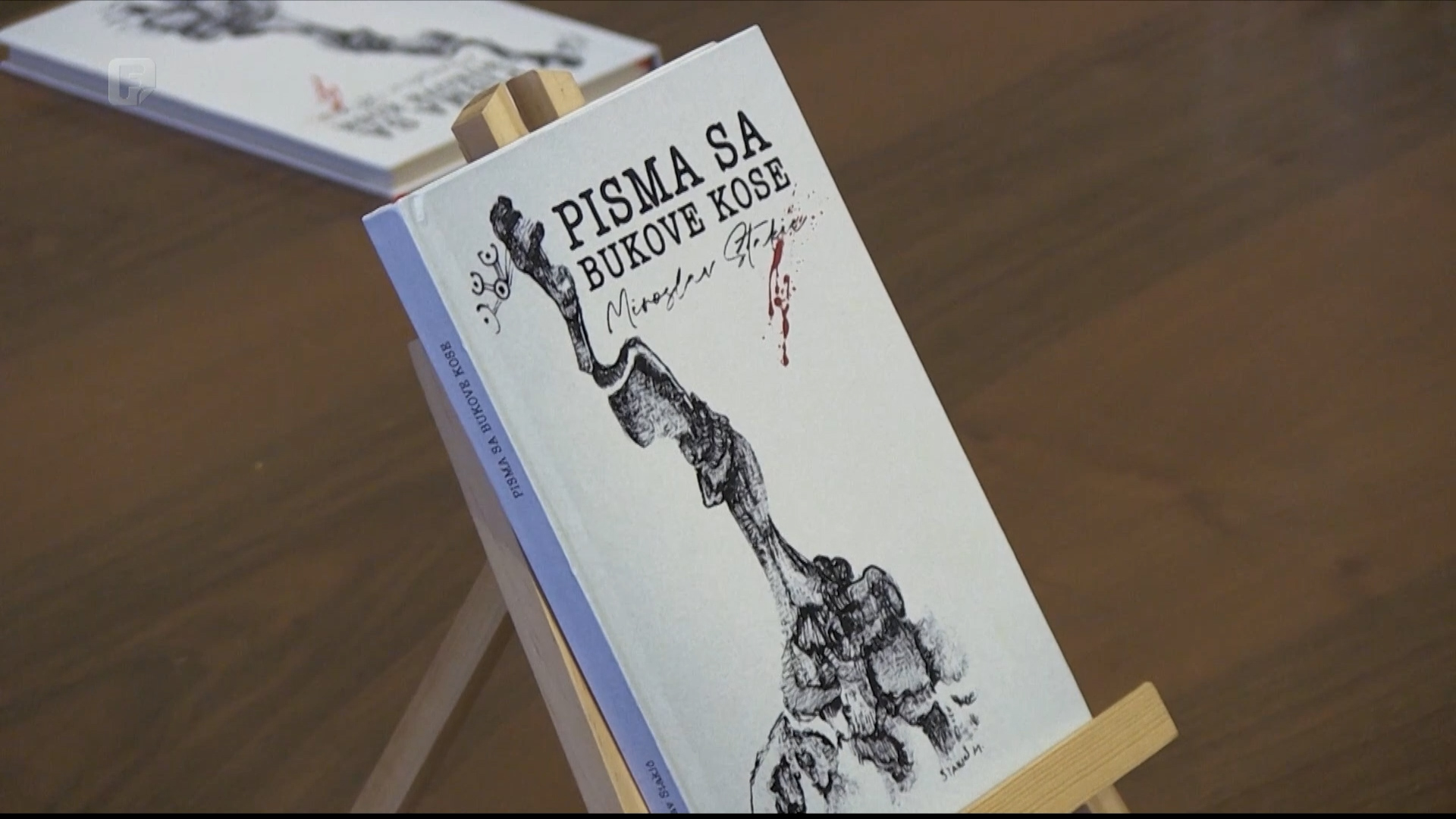 'Pisma sa Bukove Kose' predstavljena u Banjoj Luci: Umjetnički odgovor na ekocid