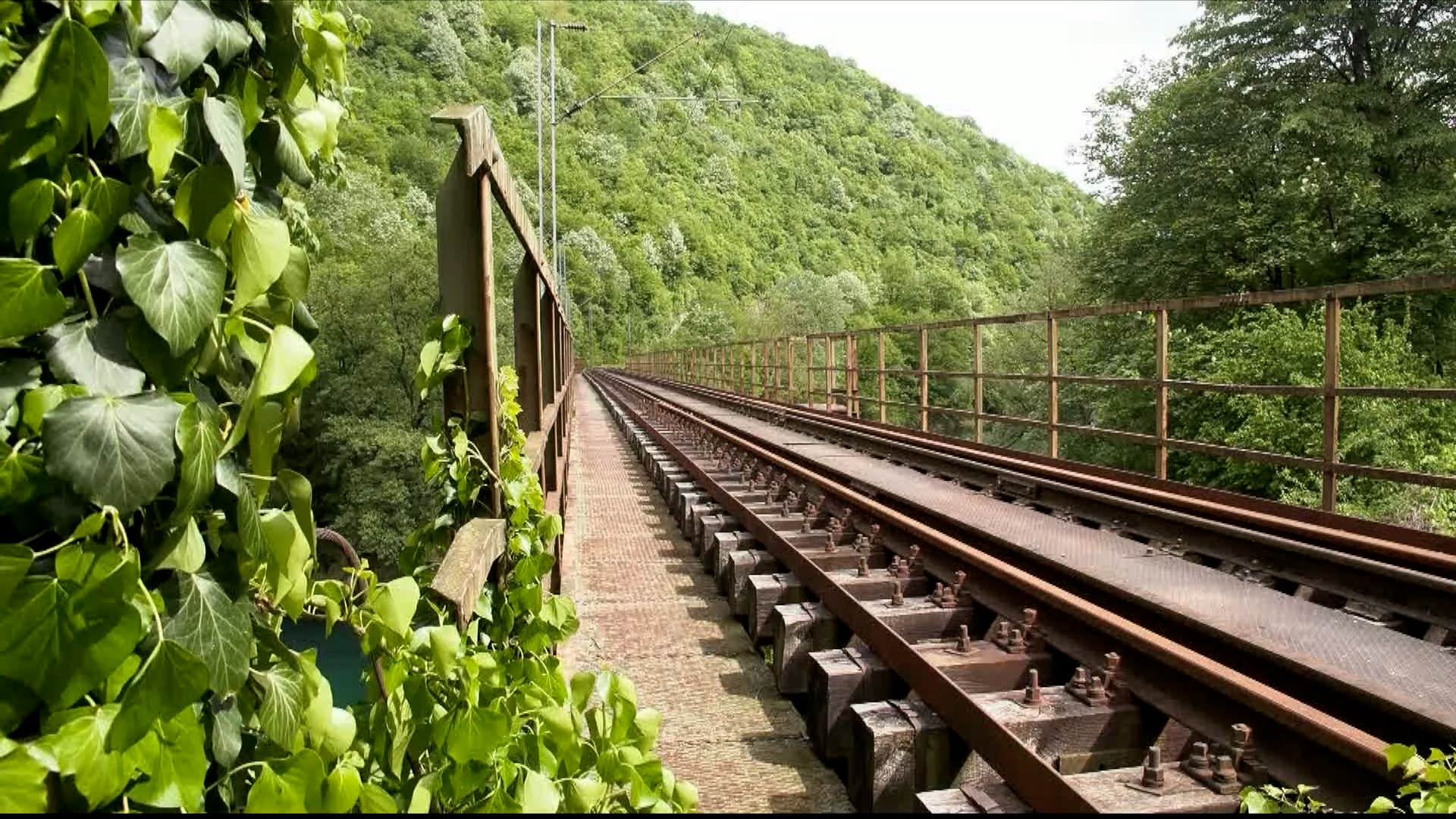 Unska pruga se oživljava: Turistički voz Bihać – Bosanska Krupa uskoro u funkciji
