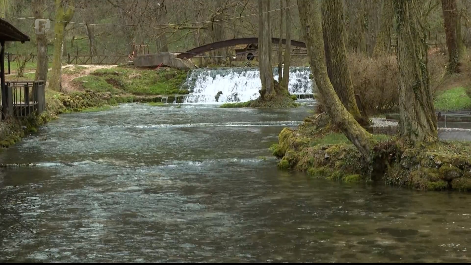 Međunarodni dan biološke raznolikosti: Kako štitimo prirodna dobra i zaštićena područja?