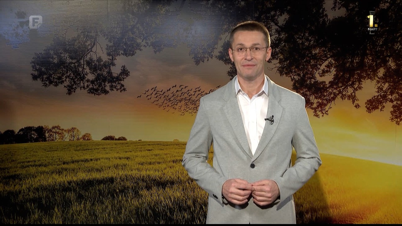 Zelena panorama, 01.03.2026.