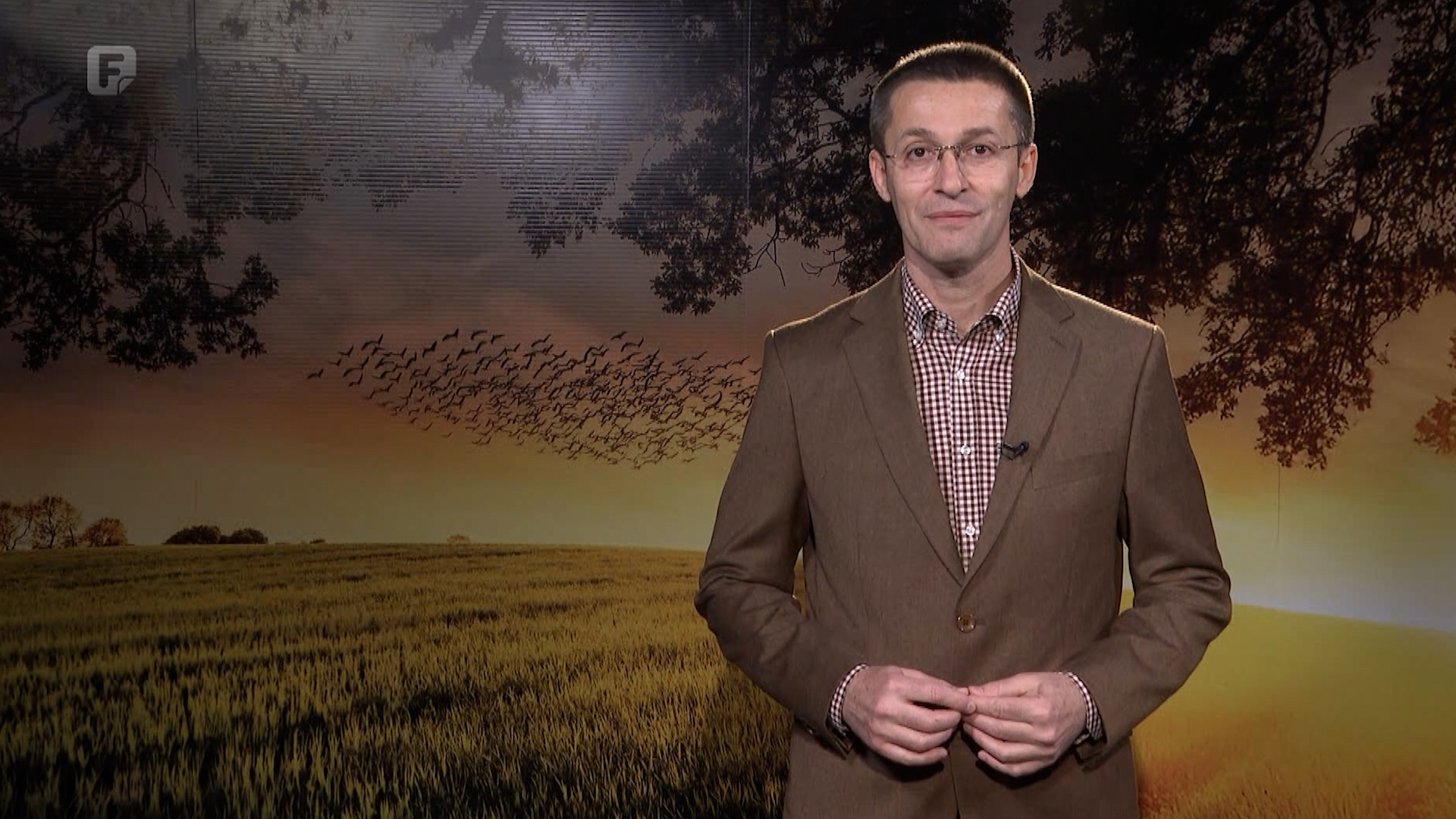 Zelena panorama, 08.03.2026.