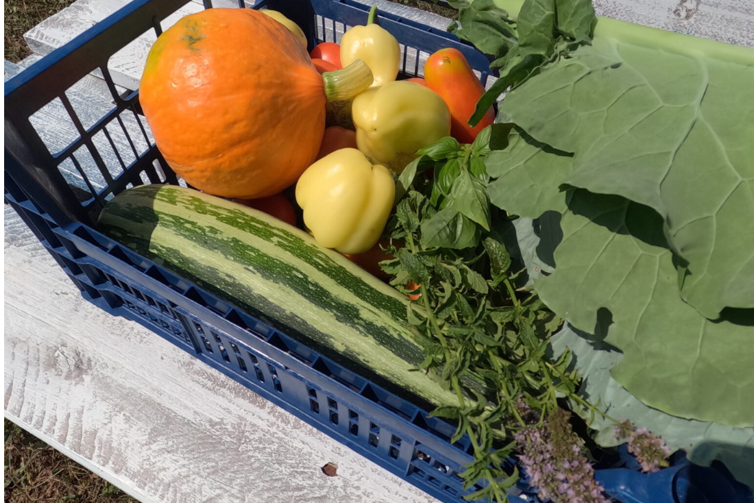 Dan „otvorenih vrata“ na poljoprivrednom dobru „OPG Sinergija plus“