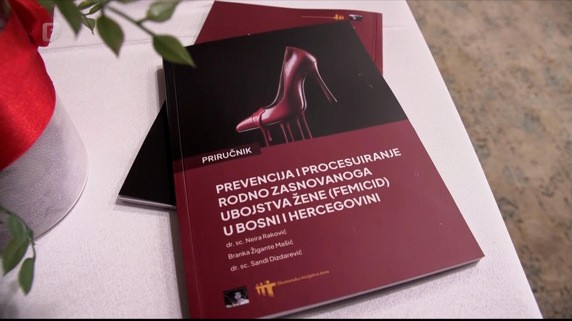 Kako spriječiti femicid? U Bihaću predstavljen priručnik za bolju zaštitu žena
