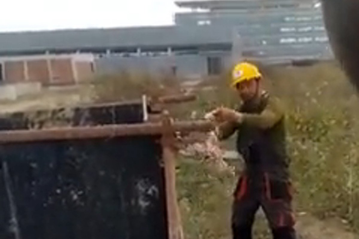 Udruženje: Nadležni da reaguju povodom snimka deranja životinje na gradilištu Linglonga