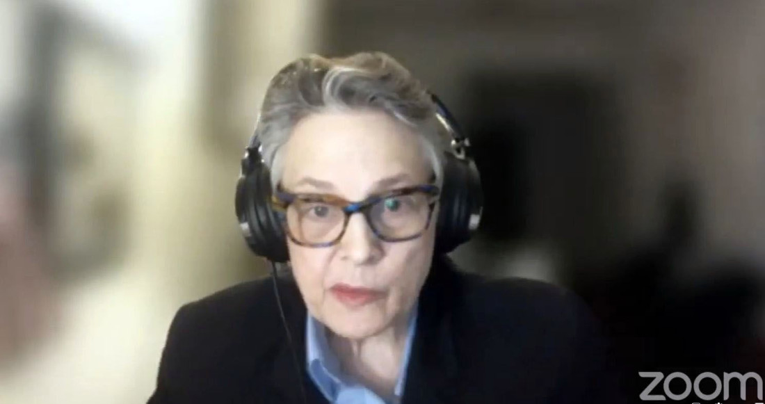 Domi: Čini se da su SAD odustale od ideje o građanskoj, demokratskoj BiH