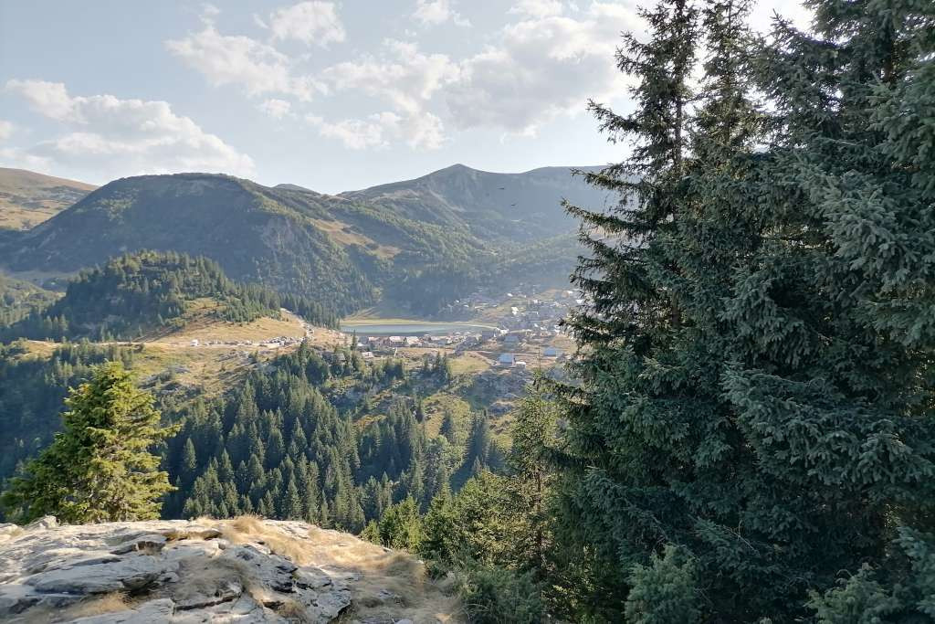 Prenamjena šumskog zemljišta u USK među najnižim u FBiH