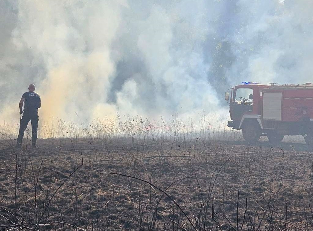 Požar kod Gruda pod kontrolom, izgorjelo 16 hektara šume, trave i niskog rastinja